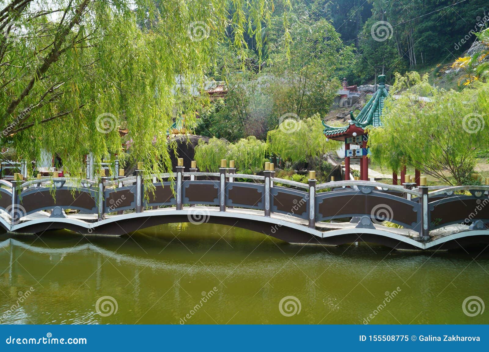 Pont and Bridge in Chinese Garden. Stock Image Image of landscape