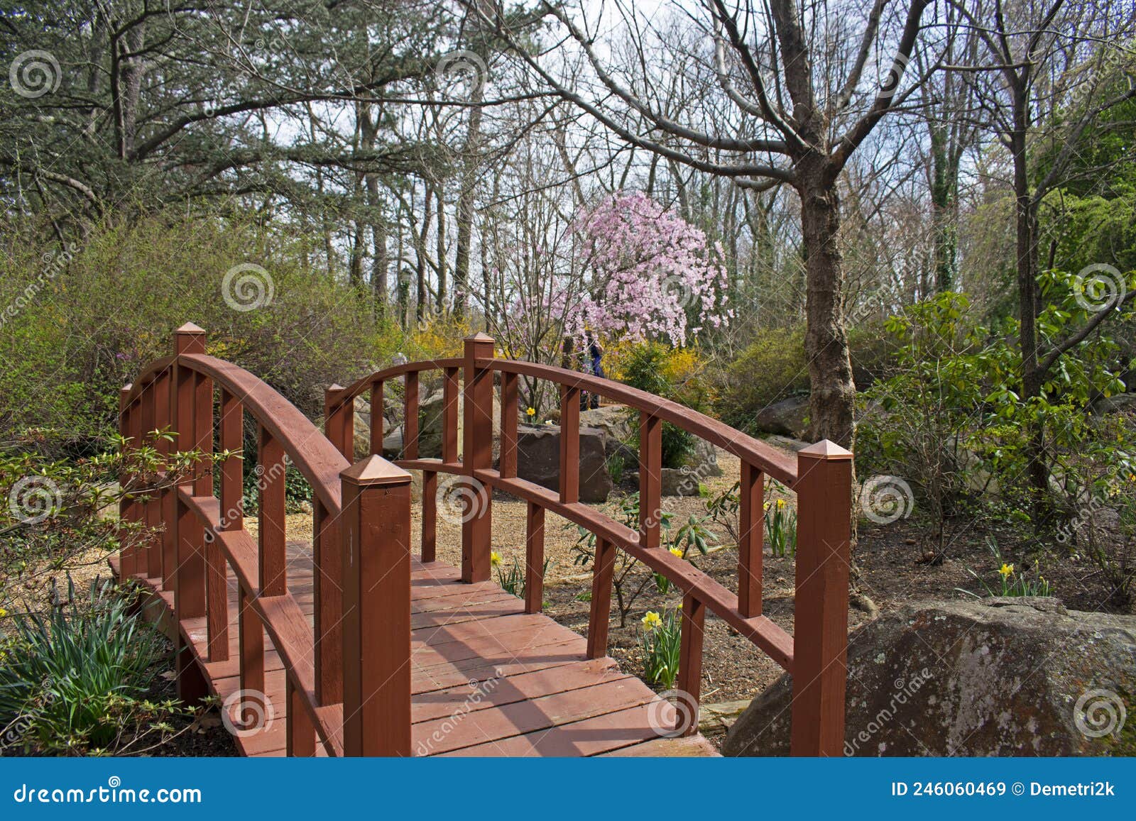 Pont Pittoresque Dans Jardin De Style Japonais 05 Image stock - Image