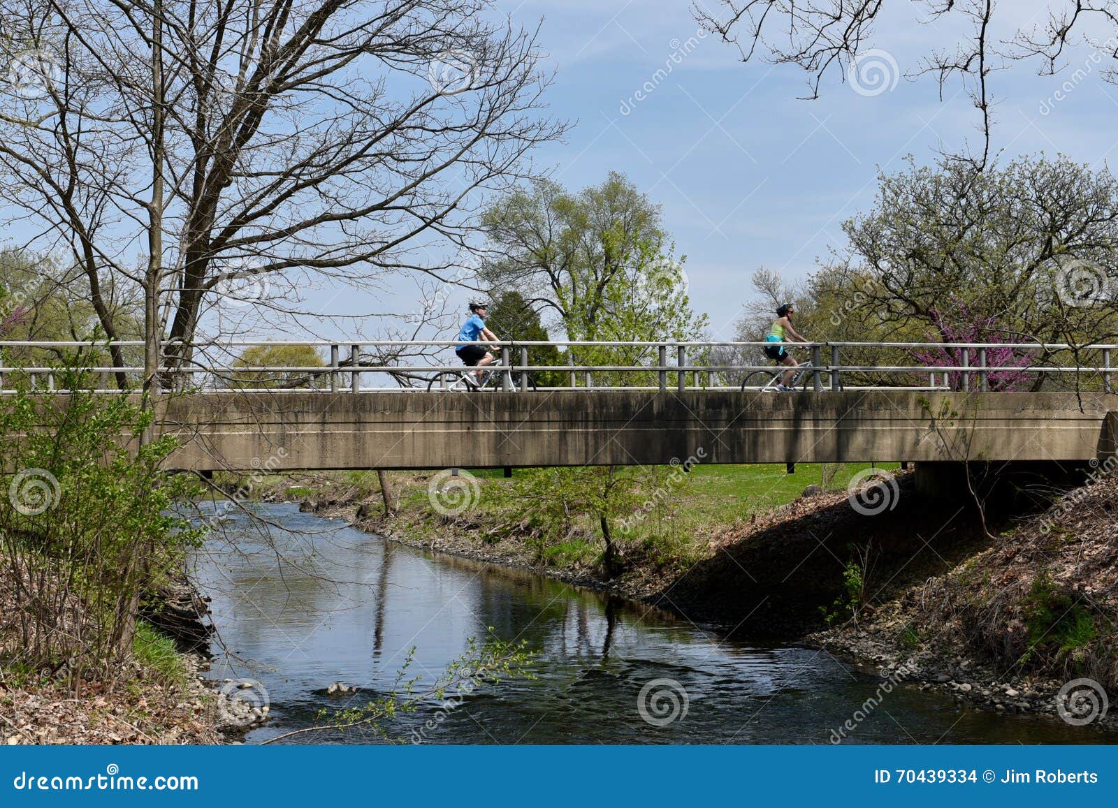 Ciò è un'immagine della primavera del ciclista che attraversa il ponte ad ovest sopra il fiume di DuPage in Morton Arboretum situato in disattento, l'Illinois Questa immagine è stata presa il 24 aprile 2016