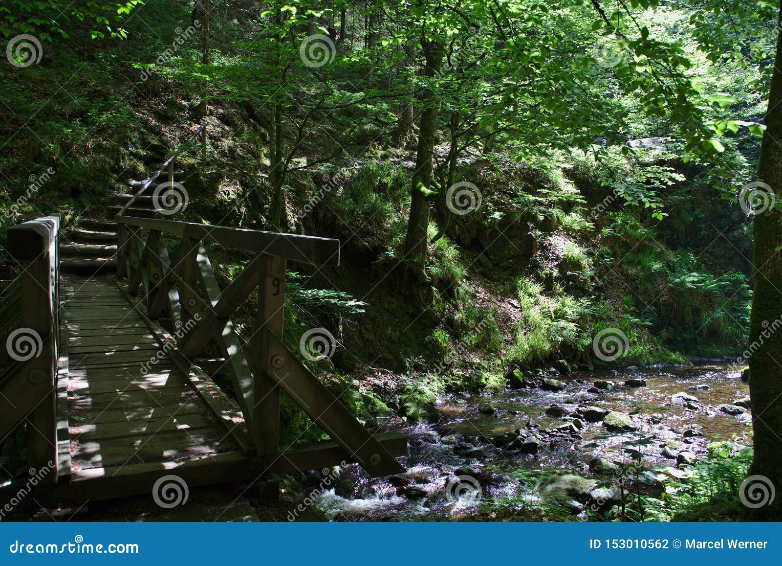 Ponte con il fiume e scale nella foresta del ravennaschlucht, Germania