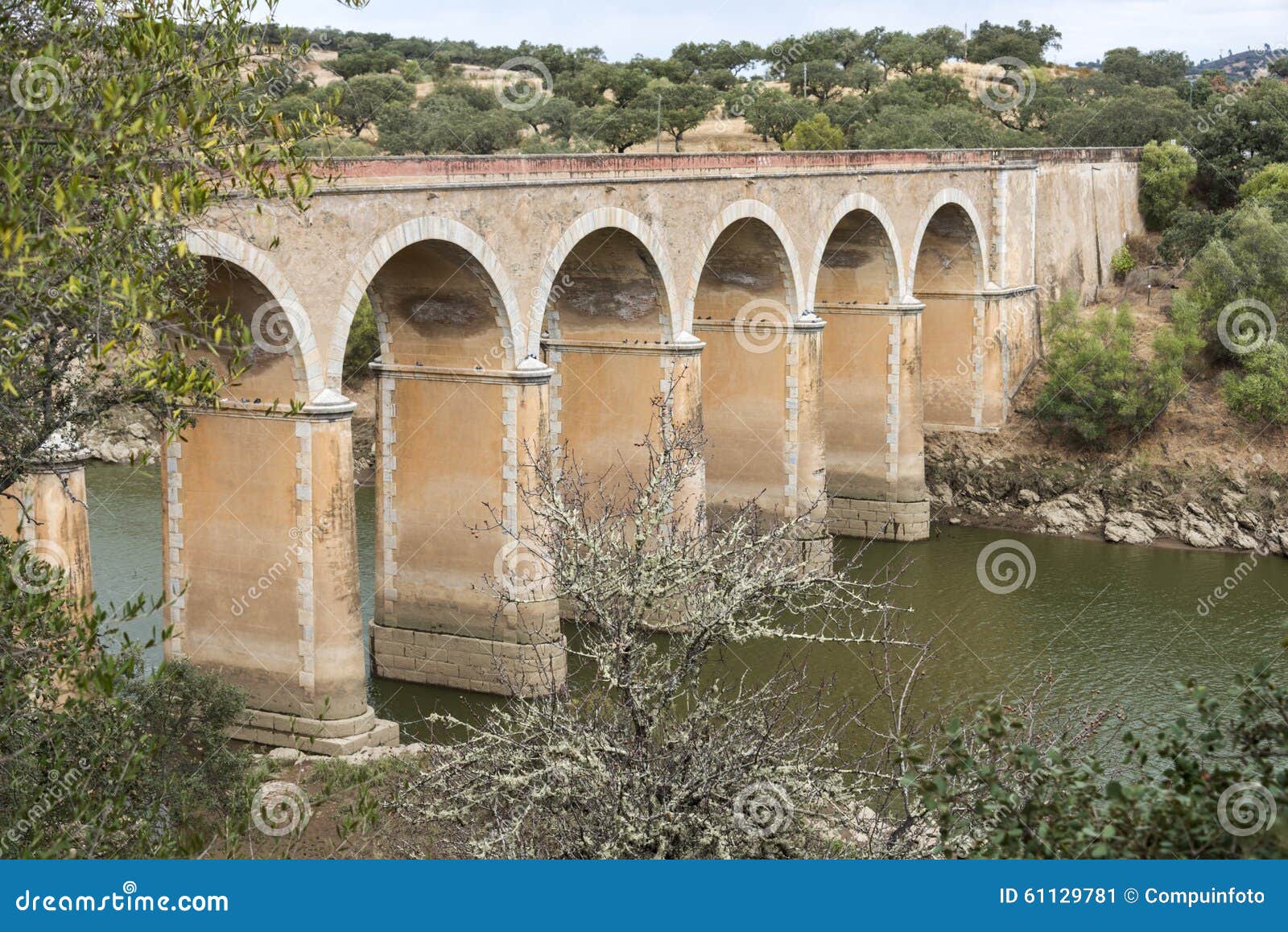 ponte de ardilla in portugal