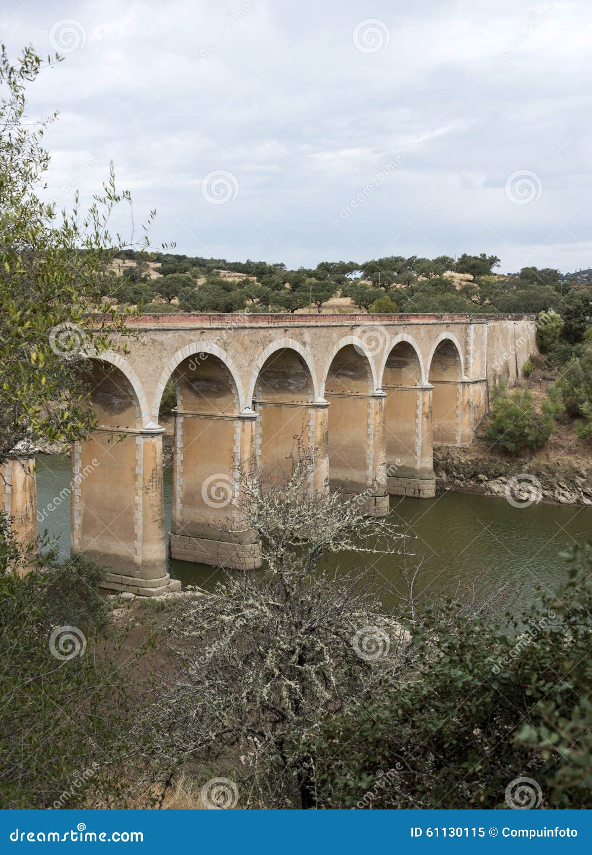 ponte de ardilla in portugal