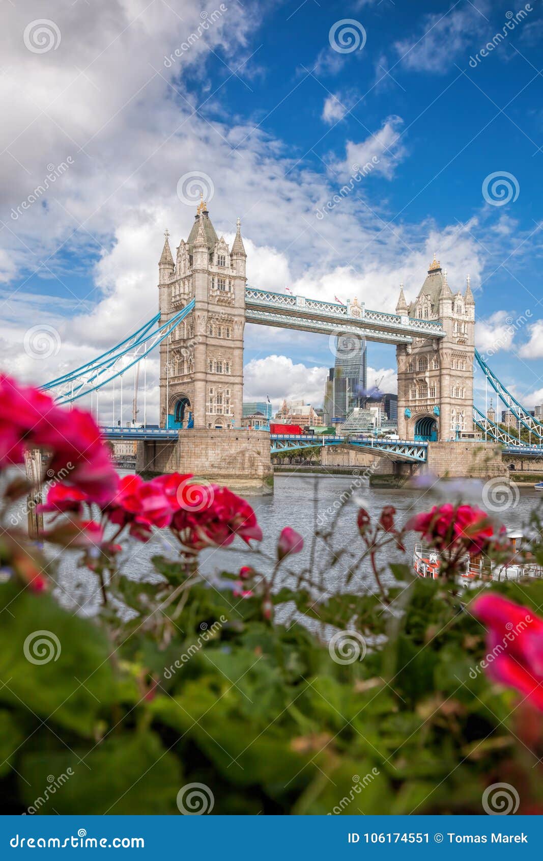 Ponte famoso della torre con i fiori a Londra, Inghilterra, Regno Unito