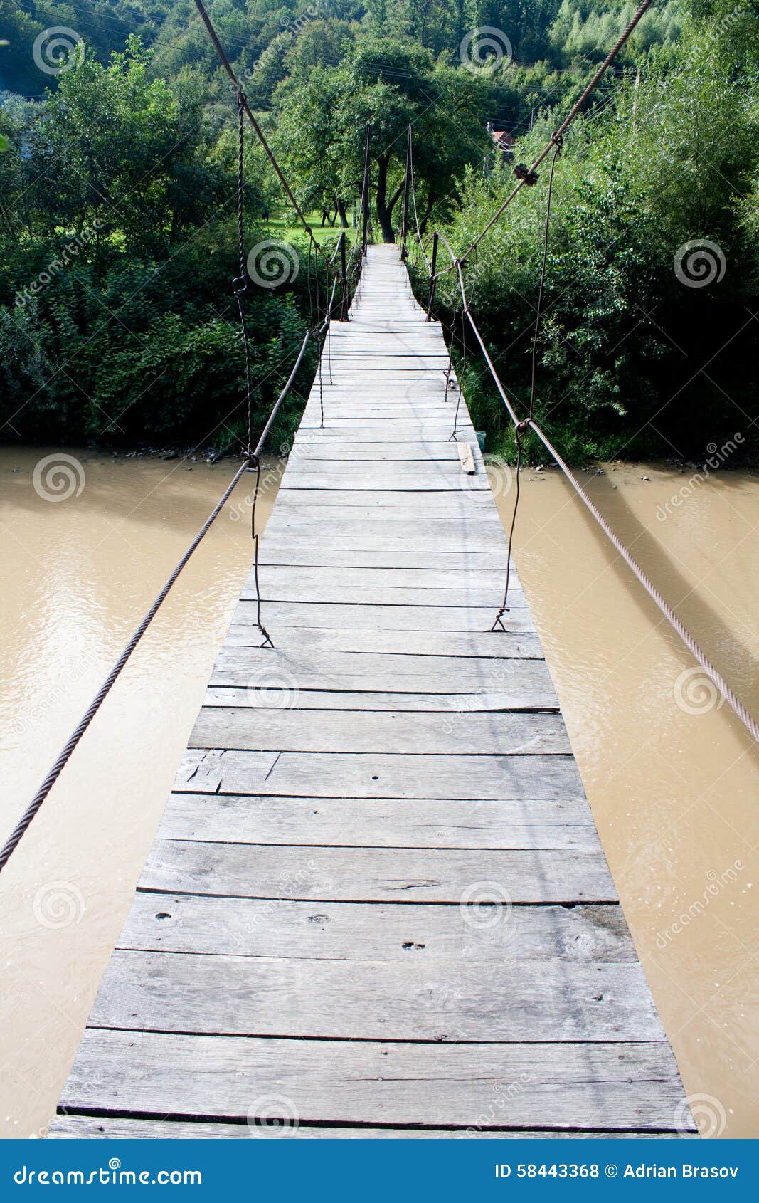 Scaletta In Legno Per Uccelli E Piccoli Animali - 12 Gradini, Altalena Sospesa Per Gabbia - Foto 3