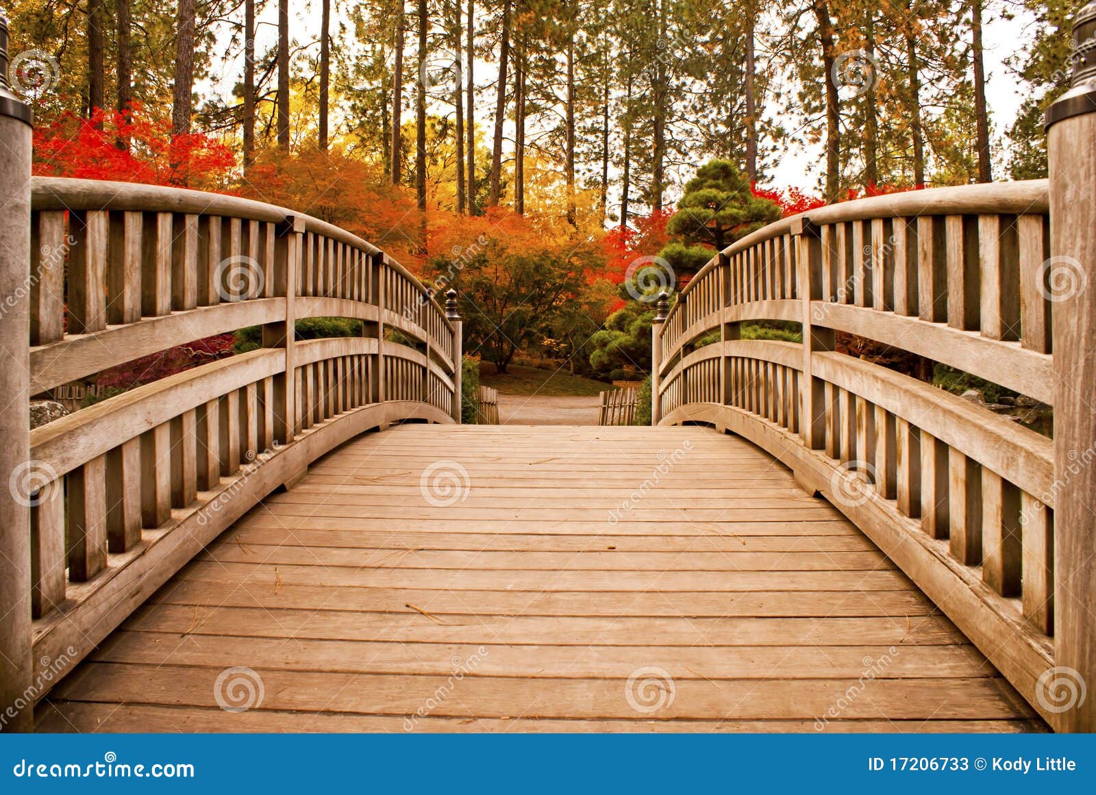 Ponte japonesa do jardim imagem de stock. Imagem de jardim - 17206733