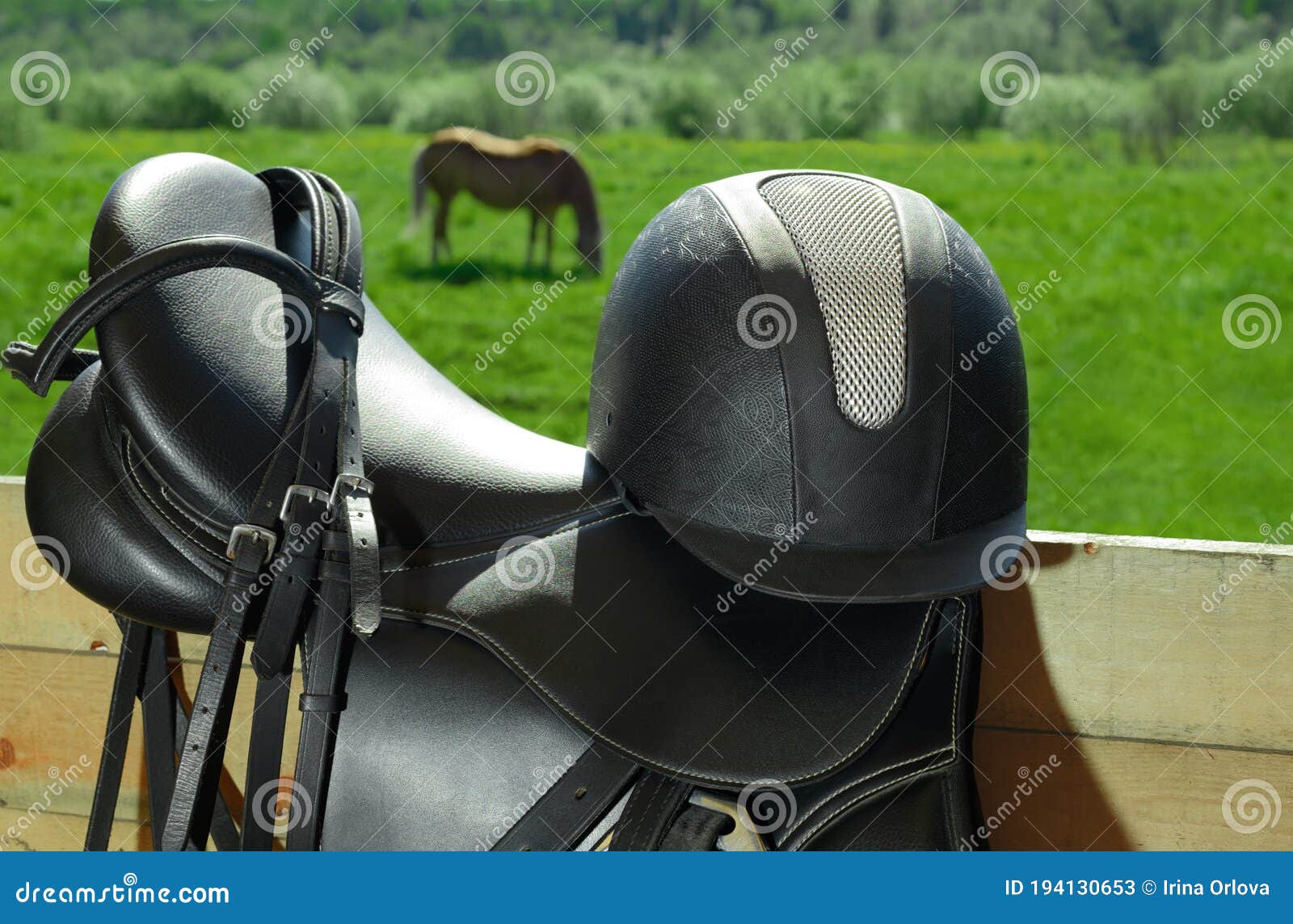 Mulher Frente Para Câmera Sentada Chão Floresta Com Seu Cavalo