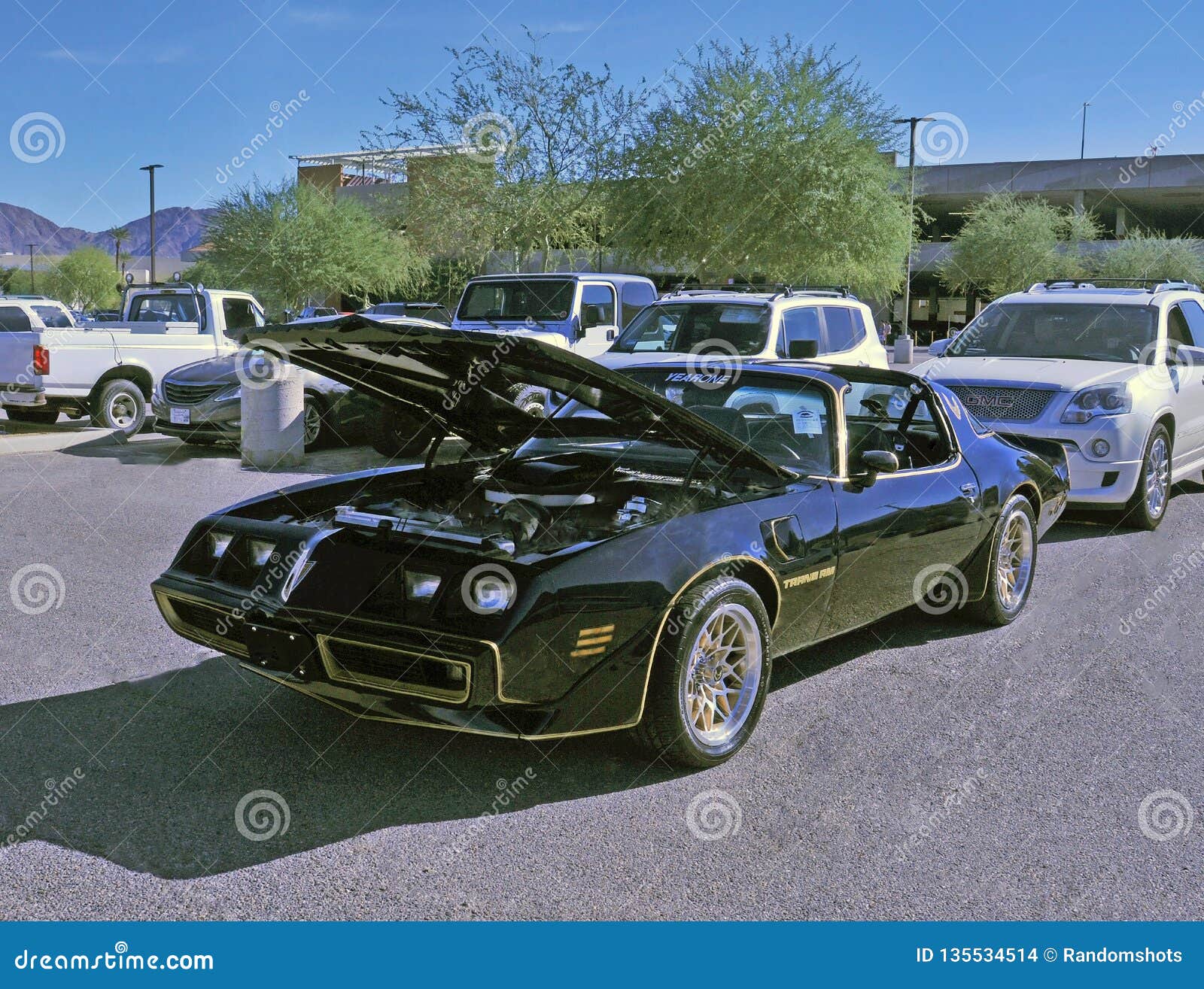smokey and the bandit pontiac photos smokey and the bandit pontiac photos