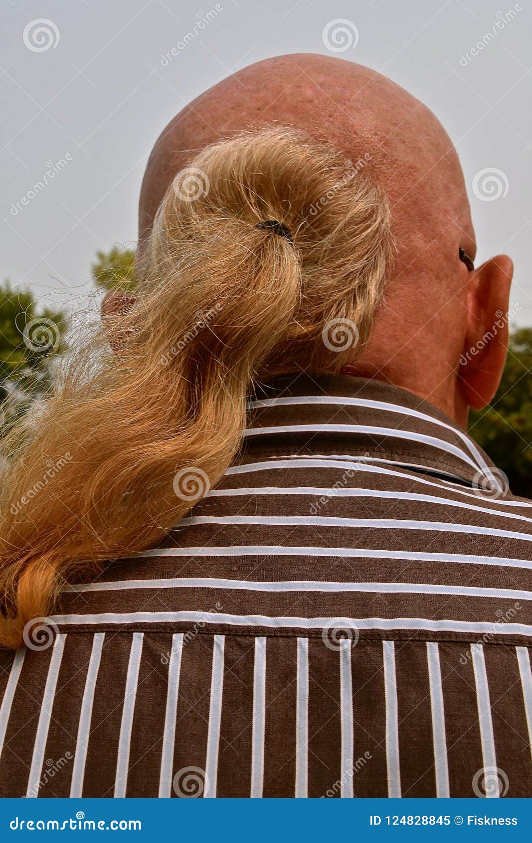 Ponytail On A Bald Adult Man Editorial Image - Image of 