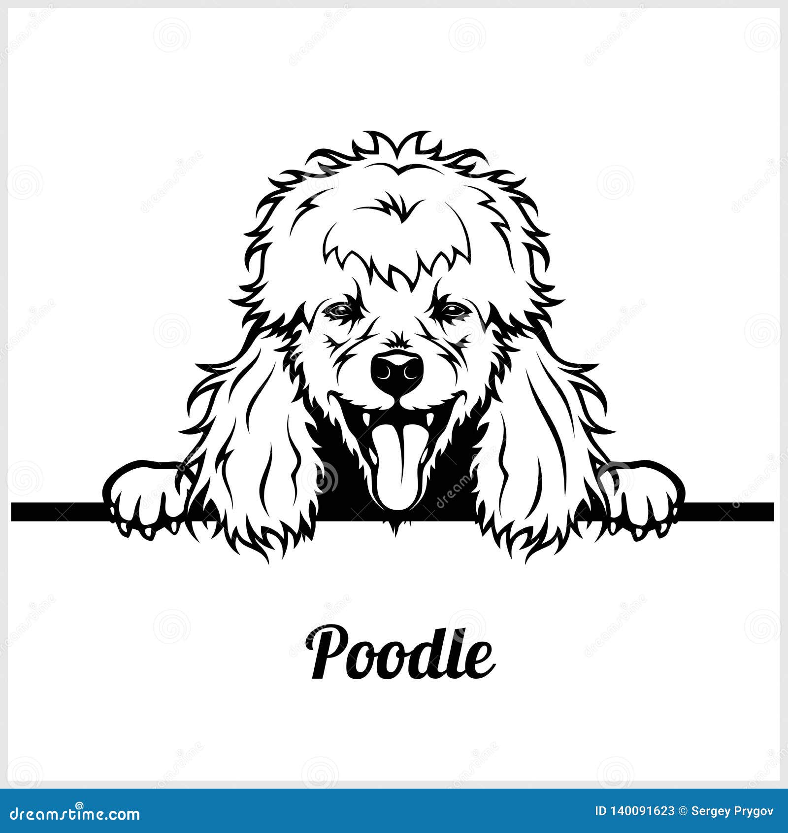 poodle - peeking dogs - breed face head  on white