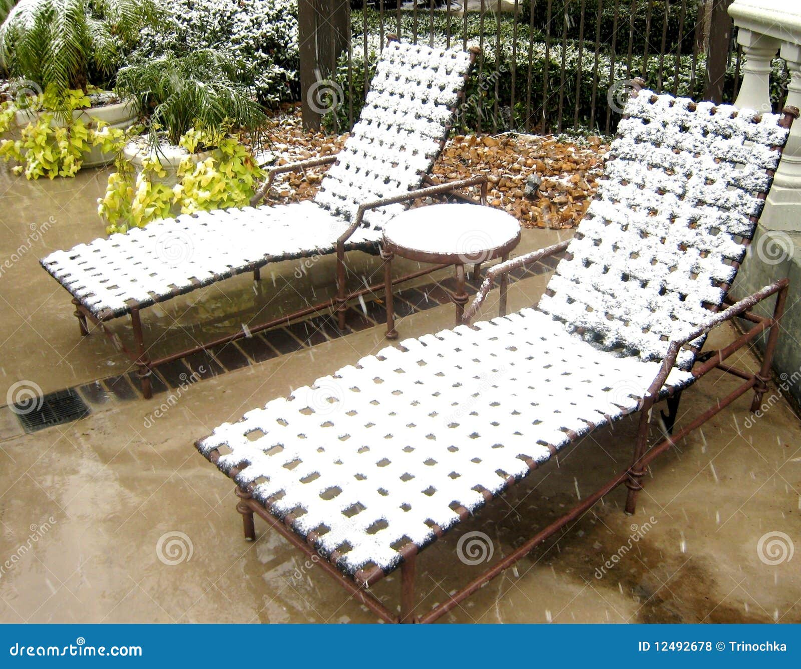 Pool Chair Under A Snow Stock Photo Image Of Green 12492678