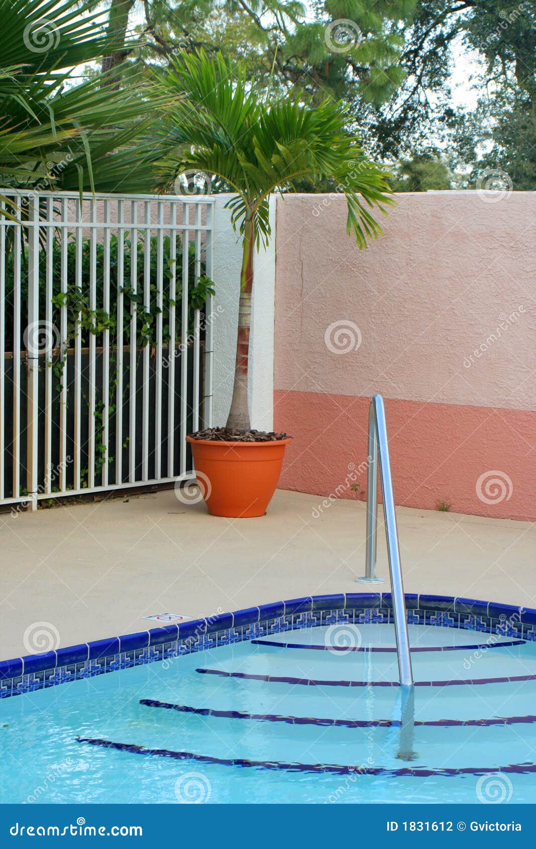 Pool Deck Stock Photo Image Of Stairs Potted Trees  - Potted Plants Around Pool Deck