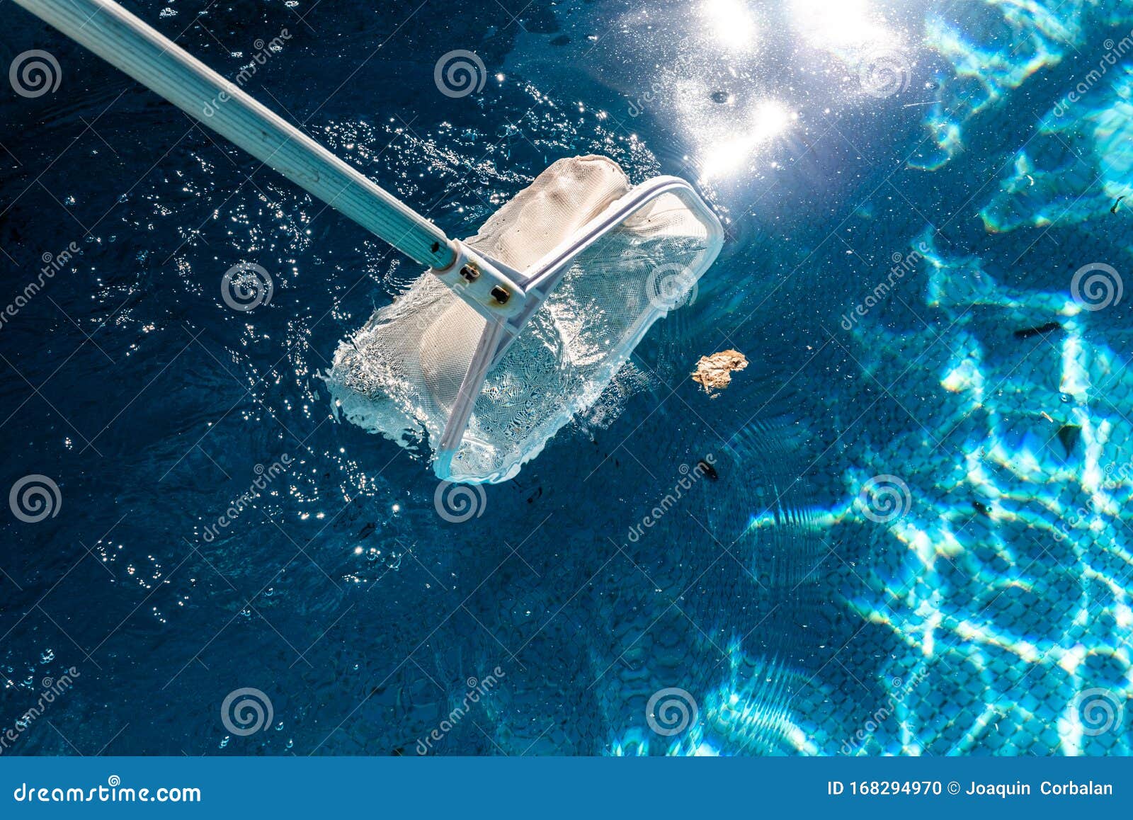 Pool Net Leaf Skimmer Rake in Summer Stock Photo Image of equipment