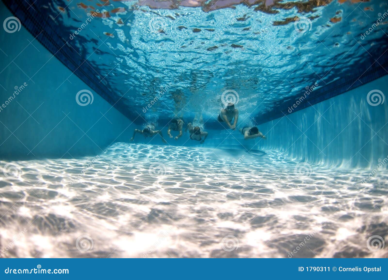 Pool Underwater with Swimmers Stock Image Image of diving, water 1790311