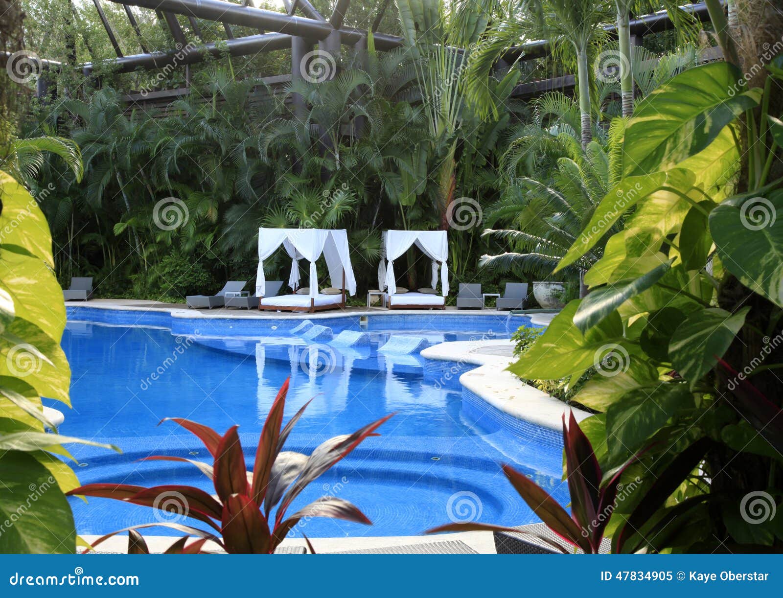 the pools at vidanta riviera maya