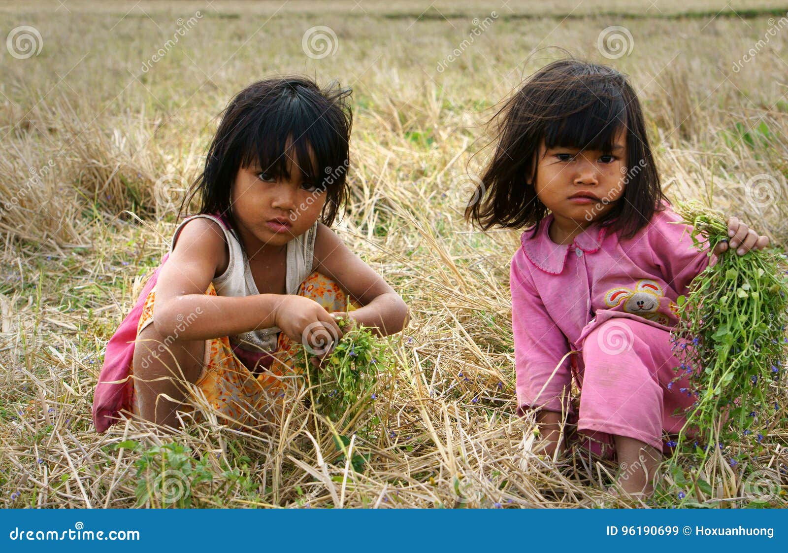 Poor Child on Dry Grass Meadow Editorial Stock Image - Image of protect ...