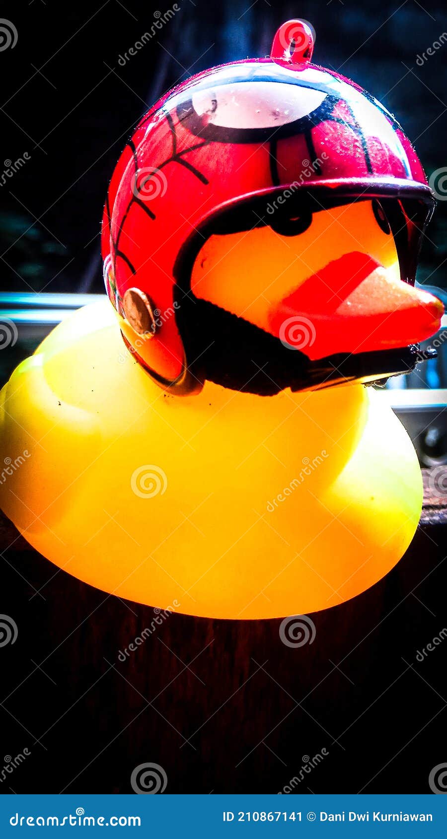 101 Duck Helmet Stock Photos - Free & Royalty-Free Stock Photos
