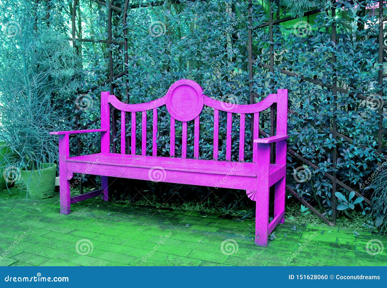 Pop Art Style Vivid Pink Wooden Bench In Turquoise Blue Colored