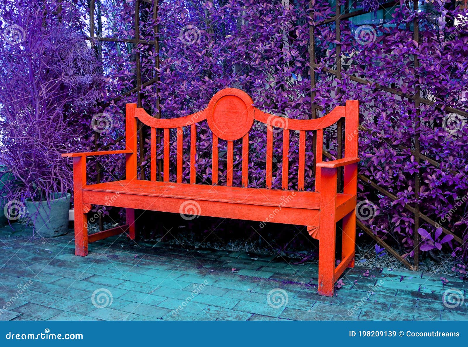 Empty Red Wooden Bench with Purple Shrubs in Background Stock Image ...