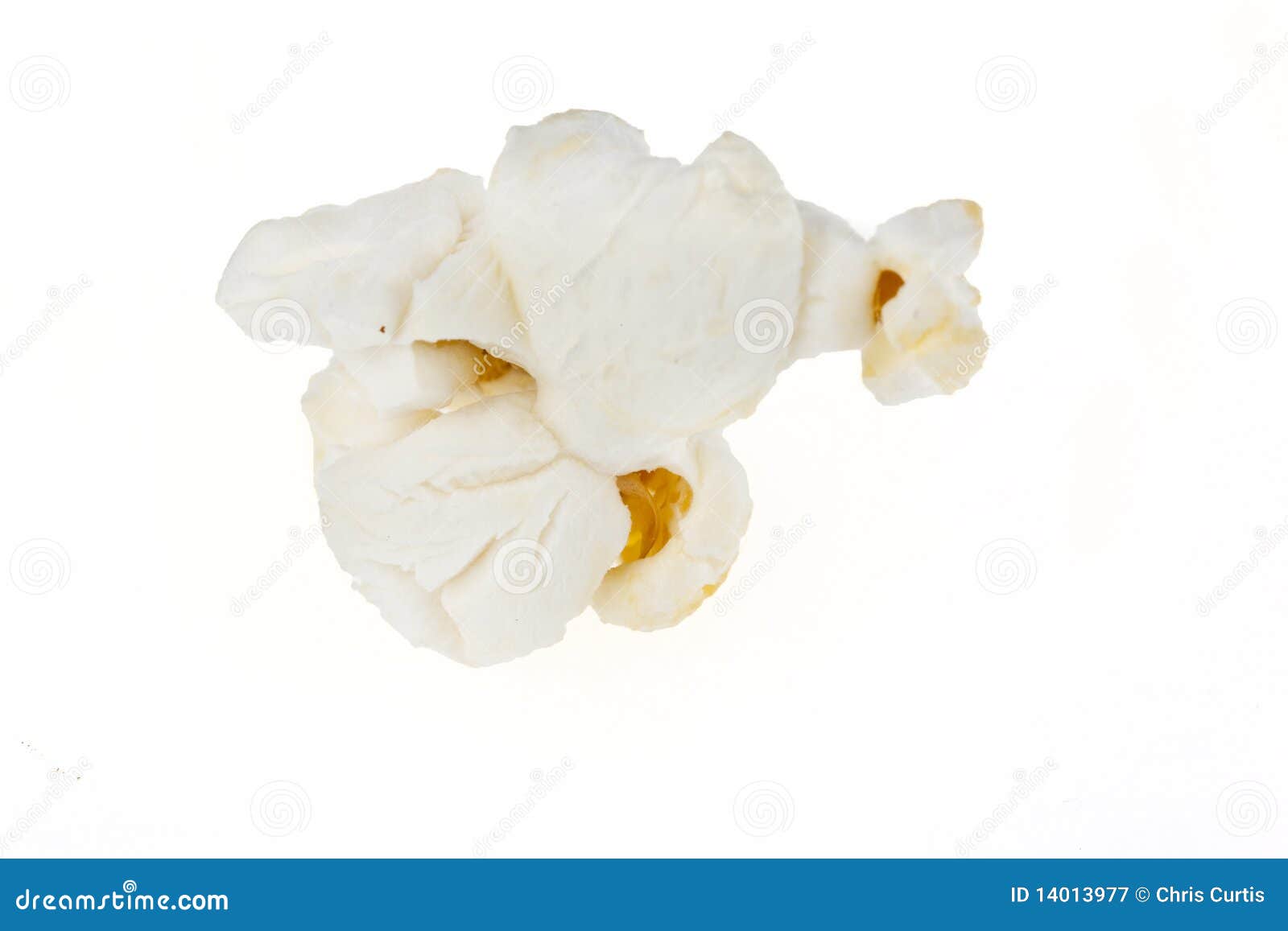 popcorn kernel  on white