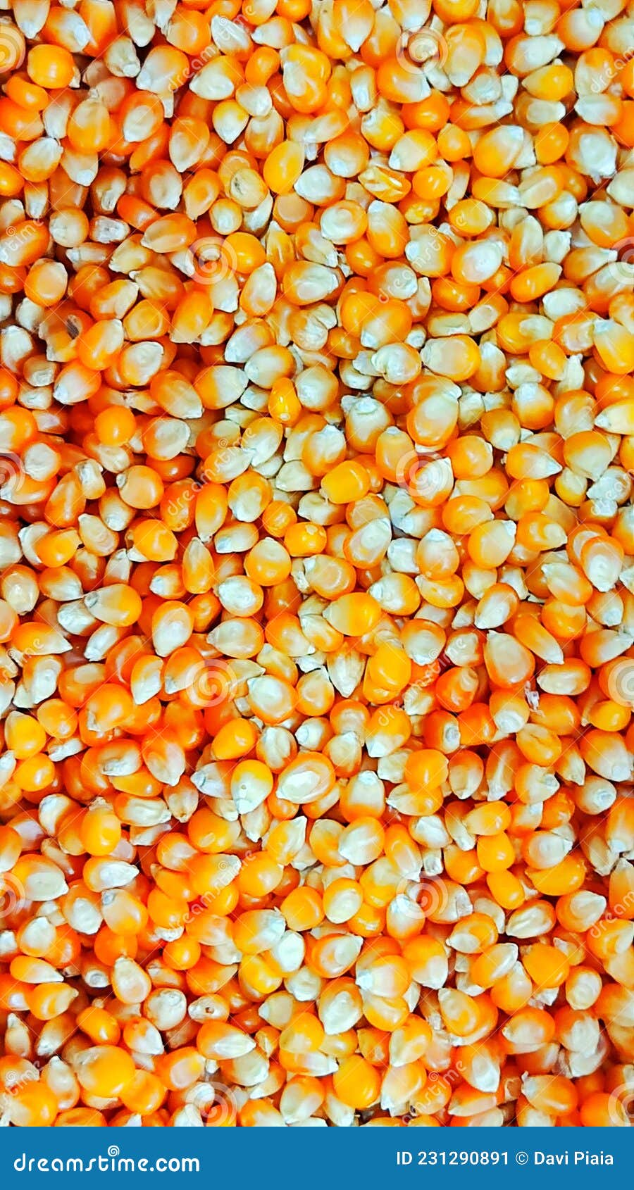 Popcorn, Texture Background Stock Image Image of snack, dish 231290891