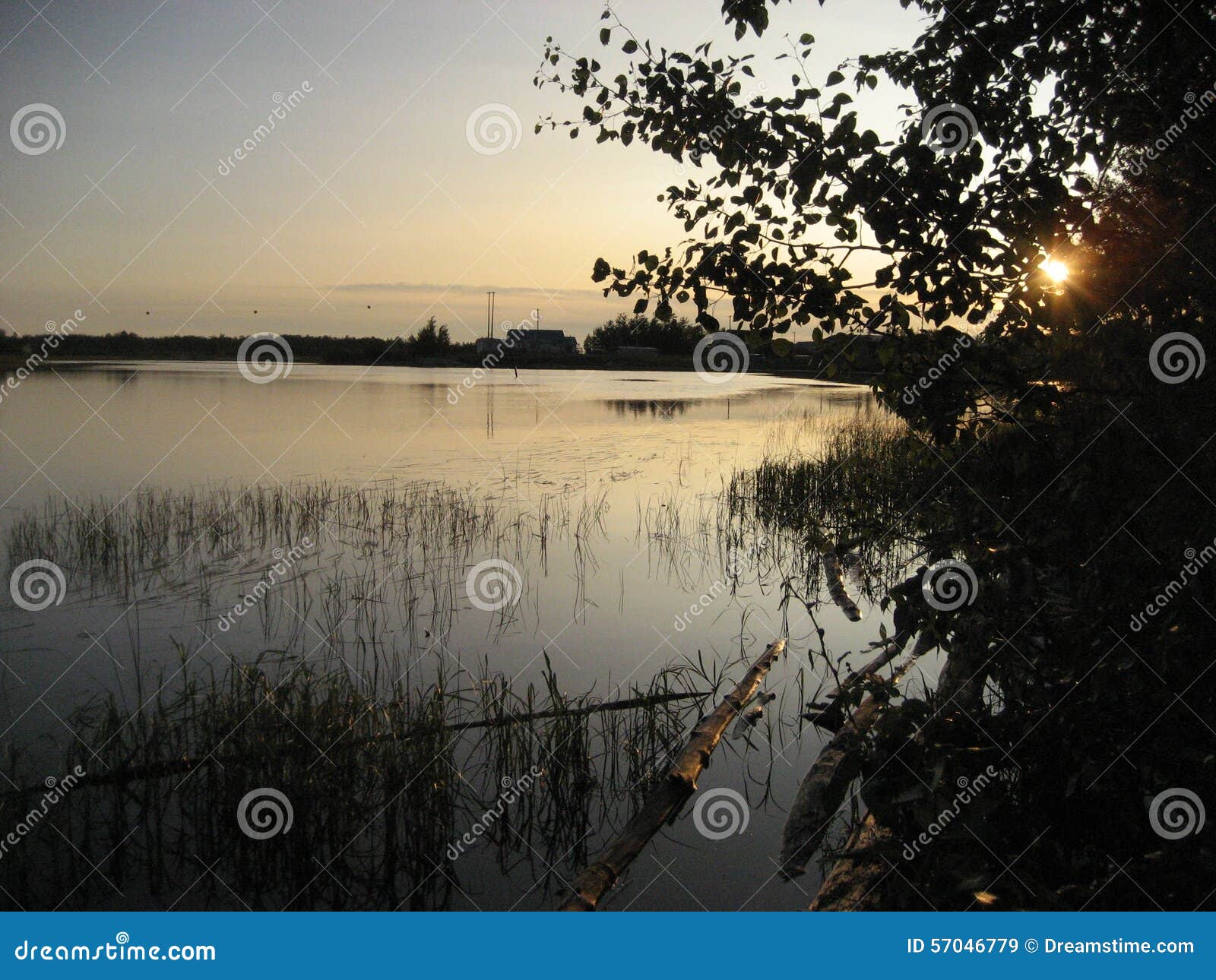 Poplar River stock image. Image of poplar, river, aboriginal 57046779