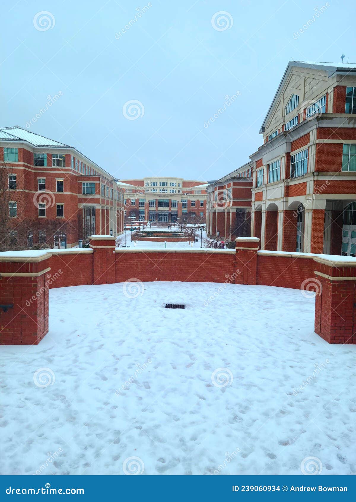 the popp martin student union at unc charlotte in the snow
