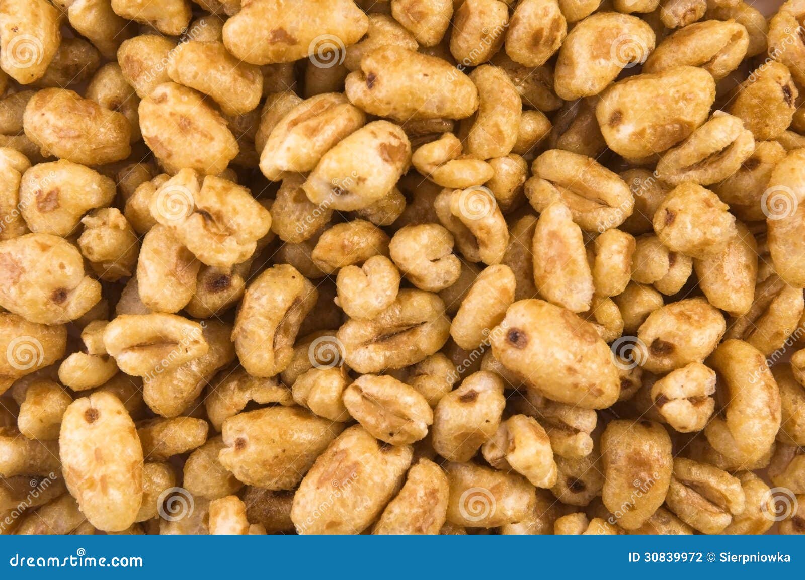 wheat stock photo. Image of healthy, - 30839972