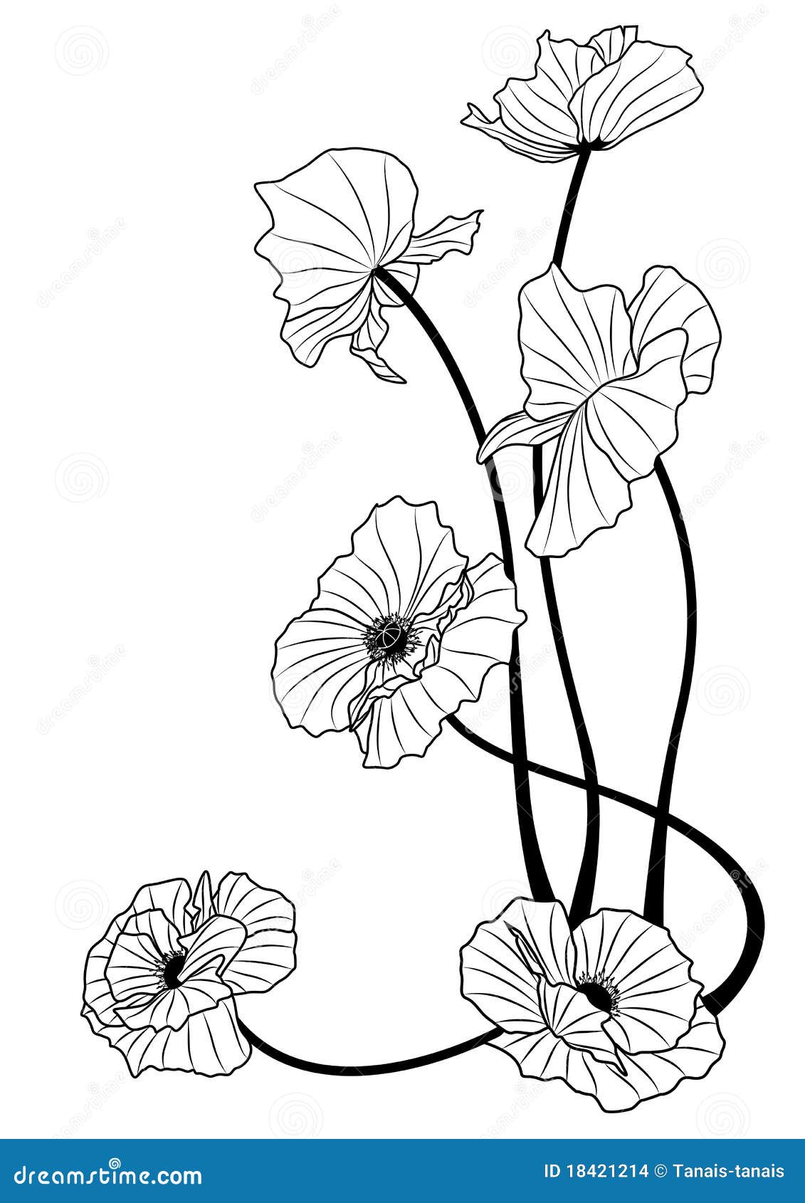 Poppies stock vector. Illustration of tattoo, floral - 18421214