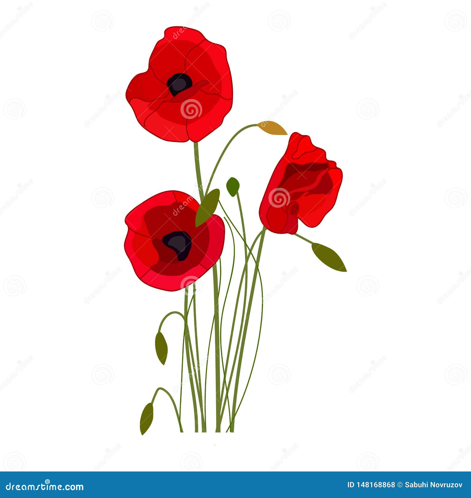 Poppies Vector Icon on a White Background. Flower Illustration Isolated ...