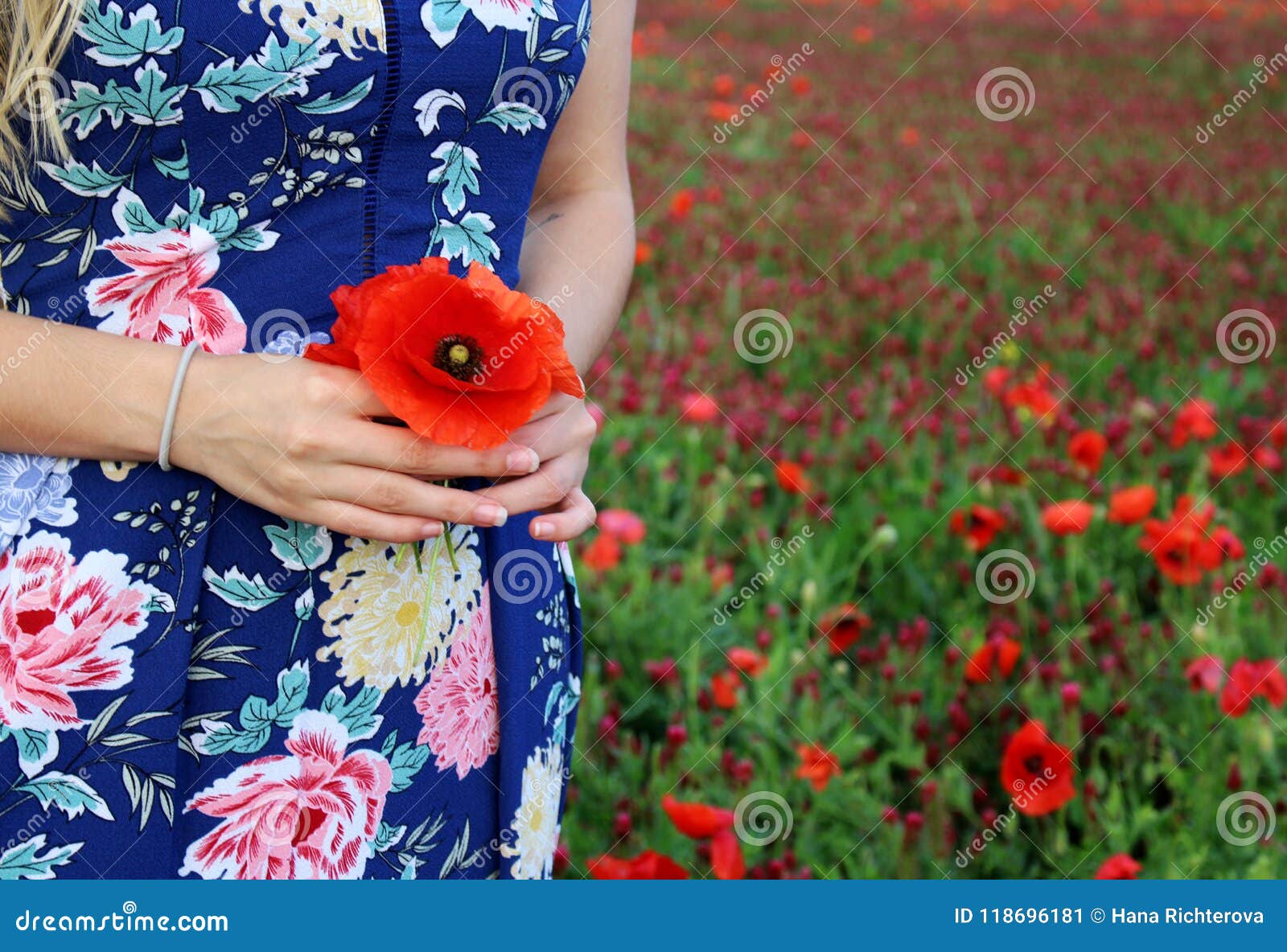 Poppy Bouquet In Girl Hand View From Above Spring Flowers Vacation And Relaxation Copy Space The Concept Of The Stock Image Image Of Cheerful Outdoor Poppy Bouquet In Girl Hand View From Above Spring Flowers Vacation And Relaxation Copy Space The Concept Of The Stock Image Image Of Cheerful Outdoor