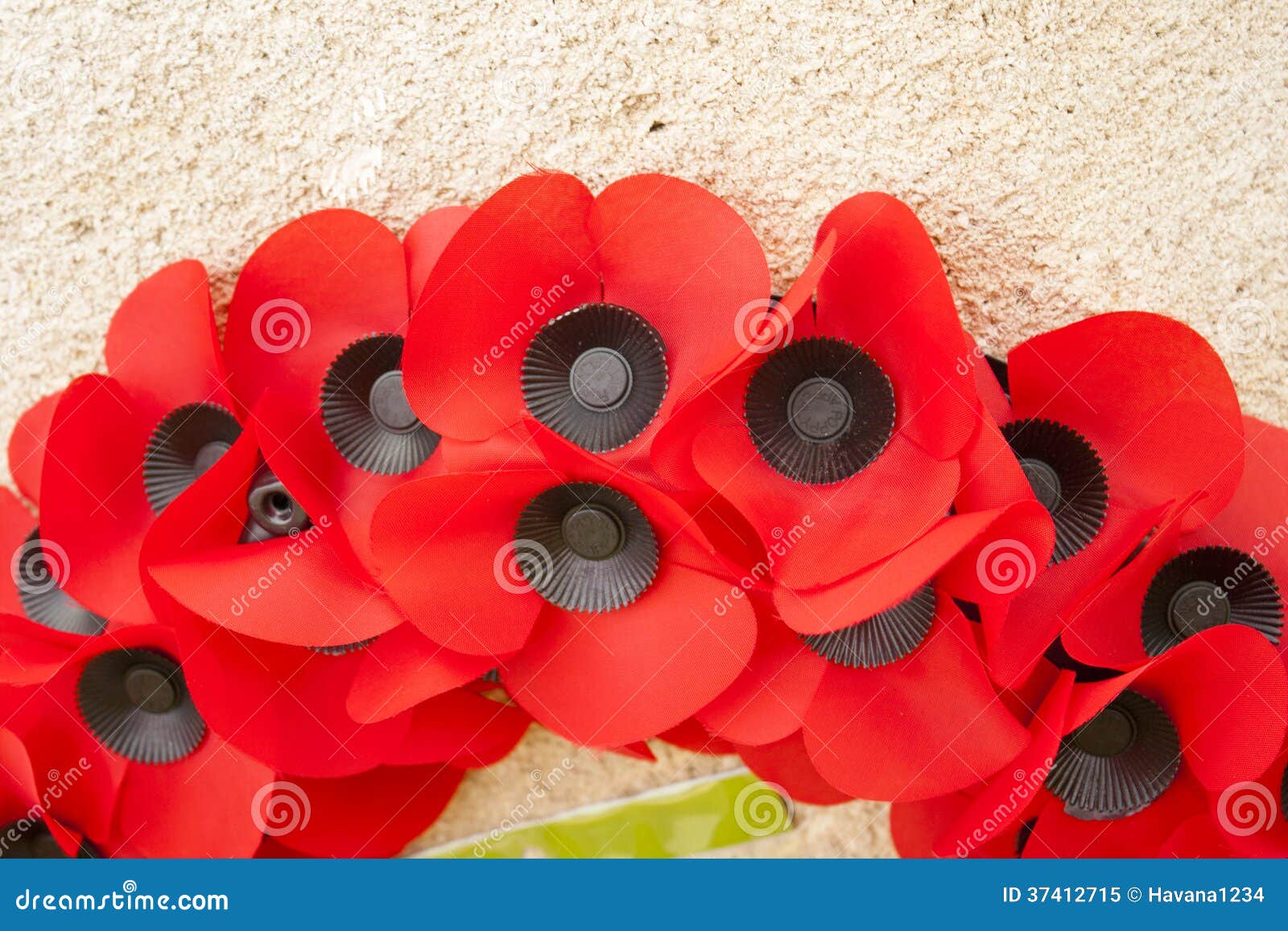a poppy day great remembrance war world flanders