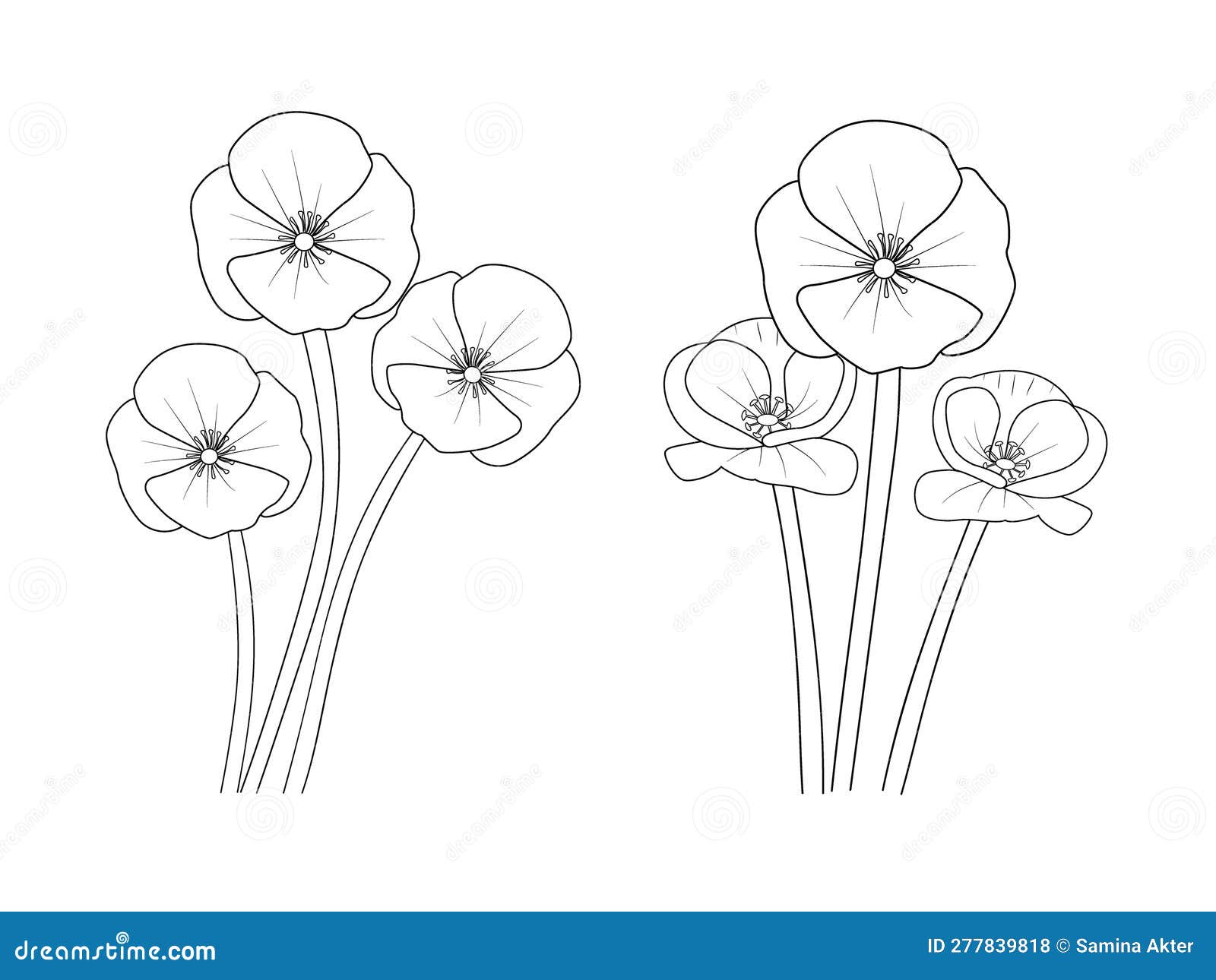 Poppy Flower Drawing Step by Stape, Easy Flower Drawings with Poppy ...