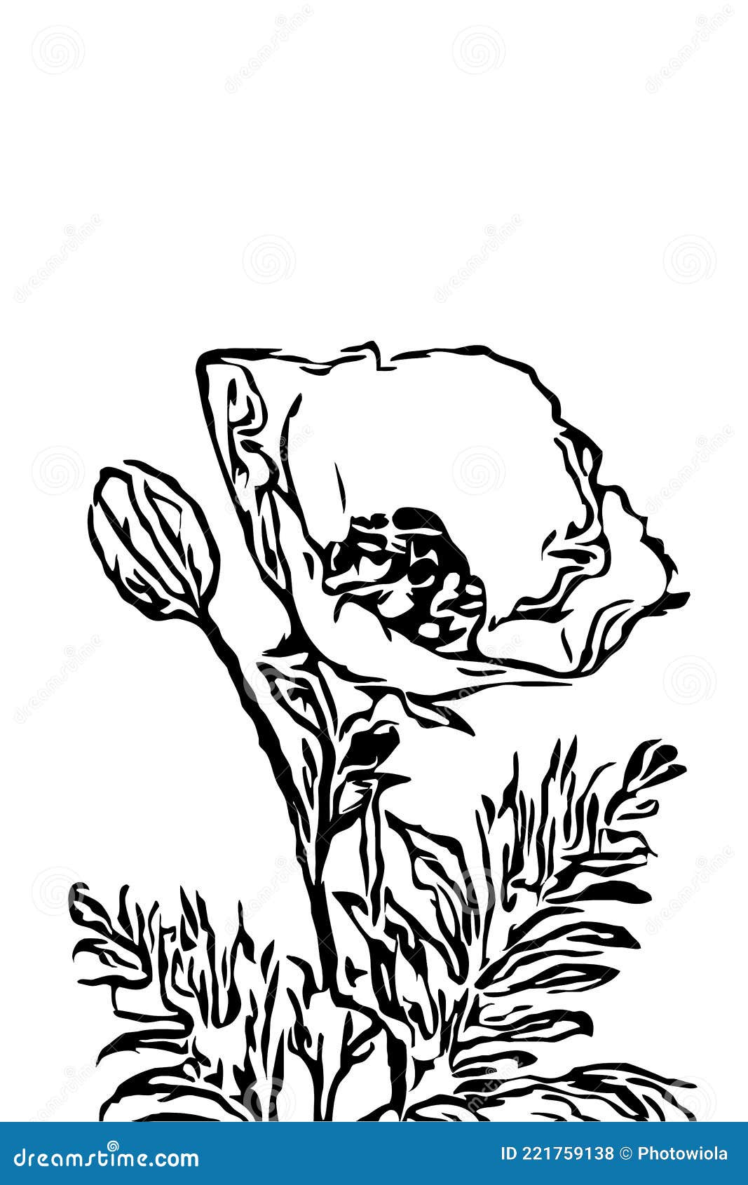 Poppy Flowers Illustration Black and White Printable Art Stock Vector Poppy Flowers Illustration Black and White Printable Art Stock Vector