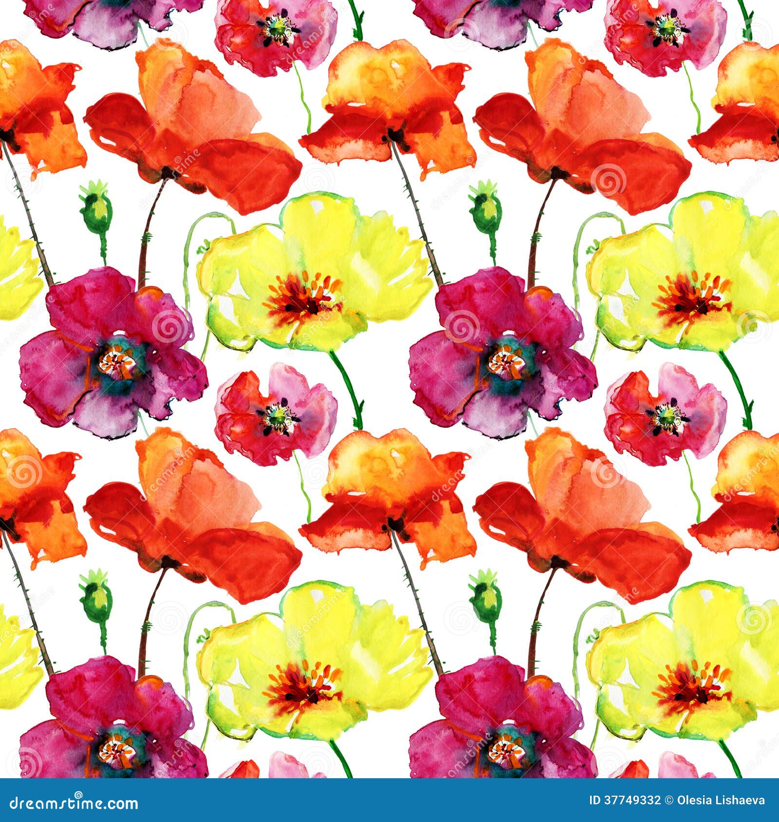 Poppy Flowers Illustration, Seamless Pattern Stock Illustration ...