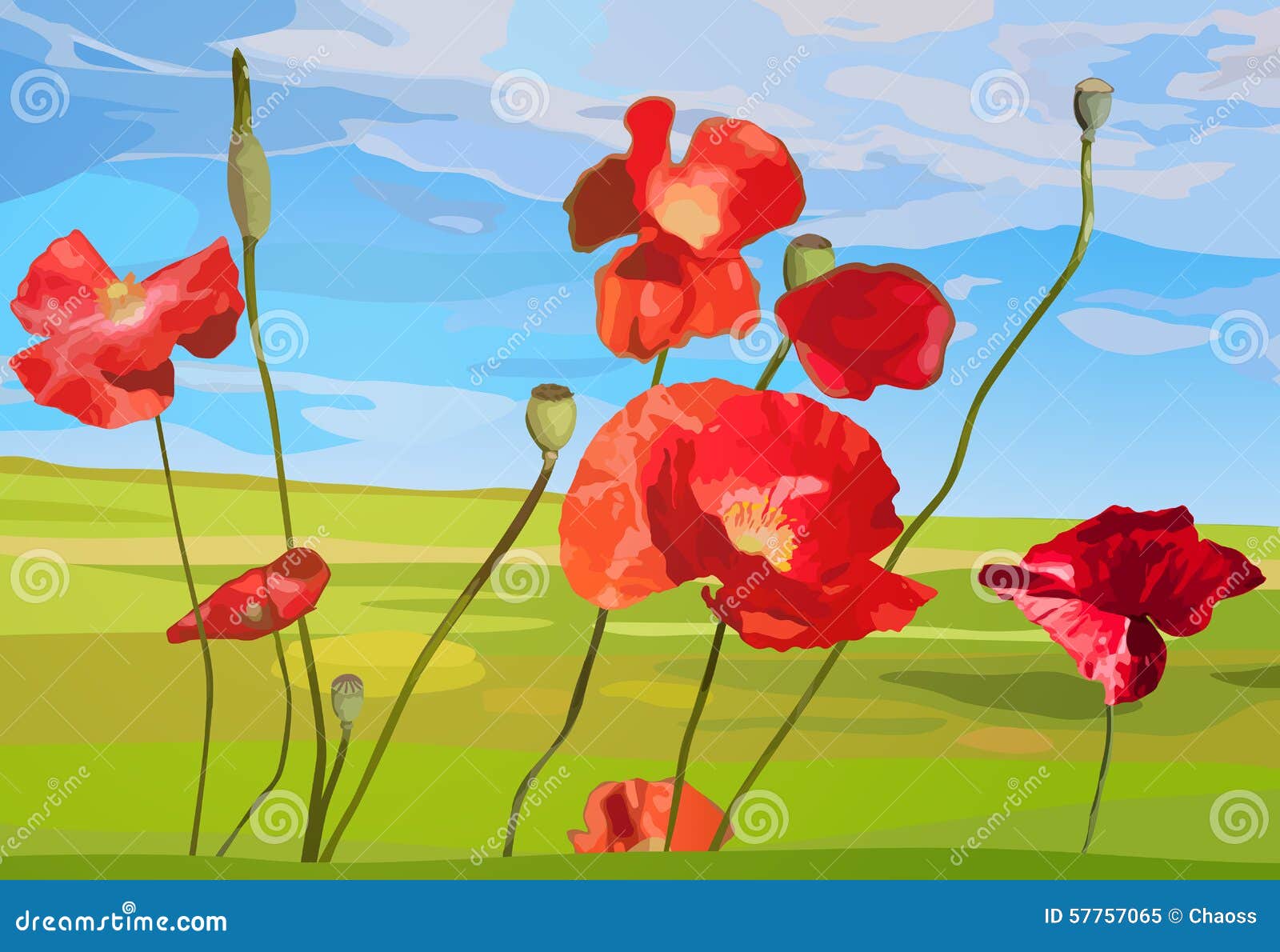 Poppy flowers stock vector. Illustration of plant, beautiful - 57757065