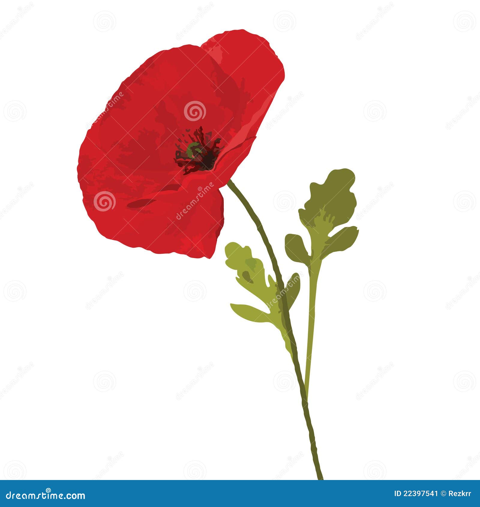 Poppy red stock vector. Illustration of stamen, graphic - 22397541
