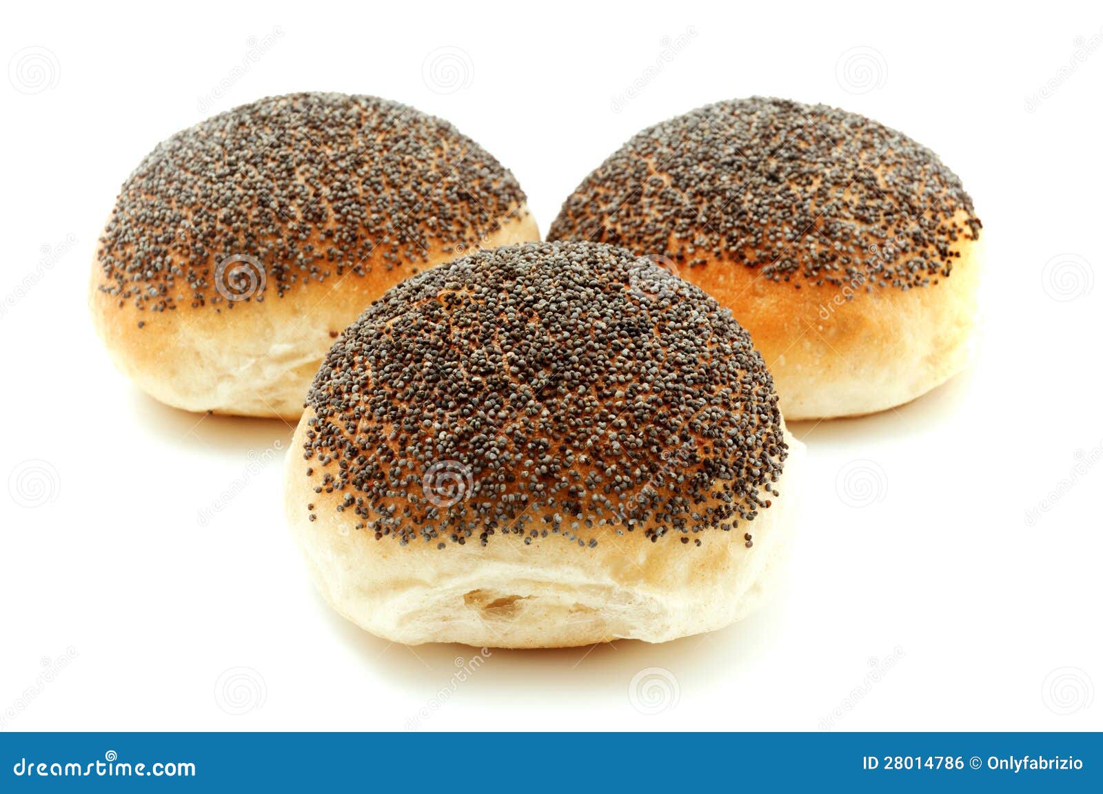 Poppy seed bread stock photo. Image of loaf, close, baked 28014786