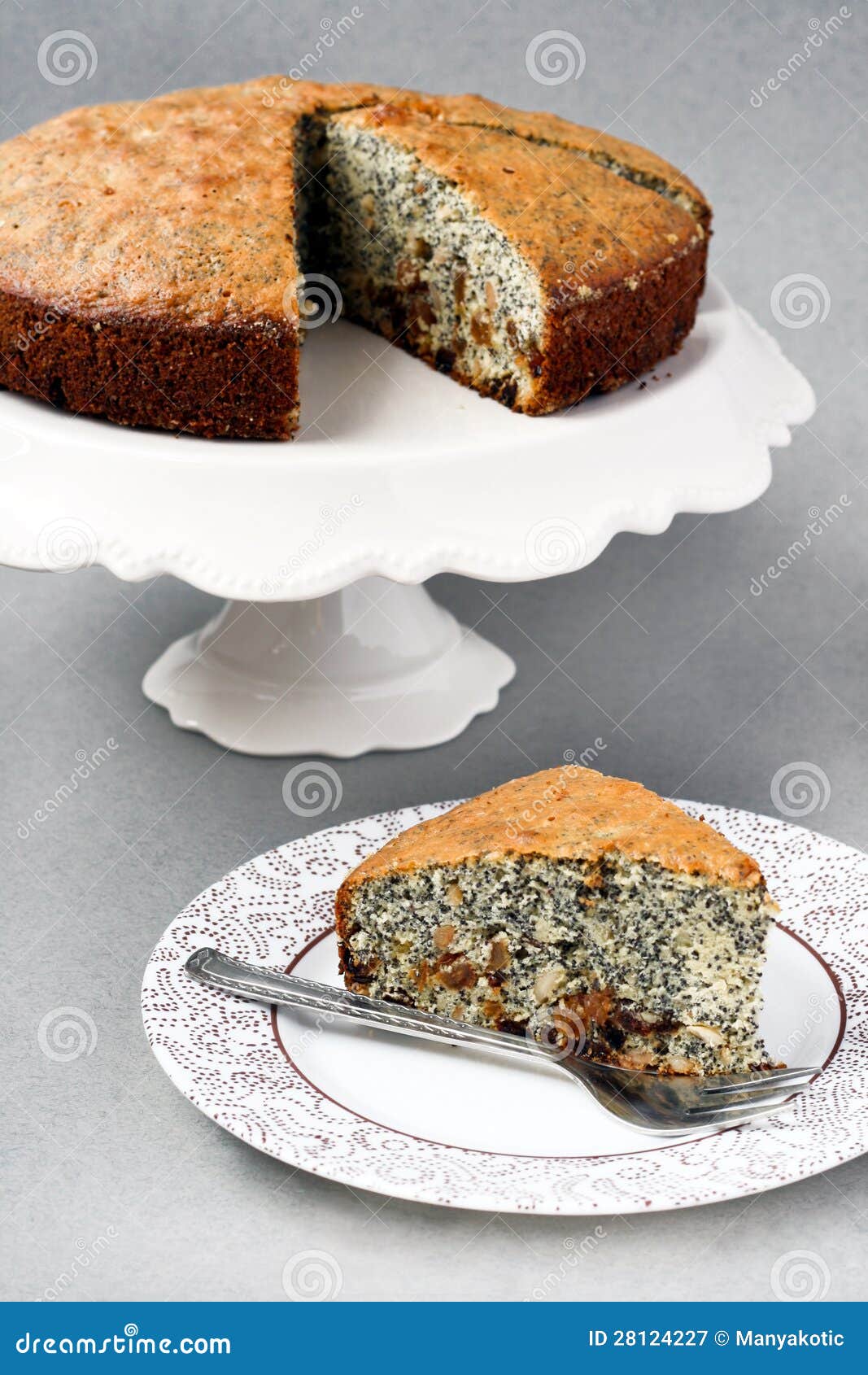 Poppy Seed and Nut Cake with Raisin Stock Image Image of baking