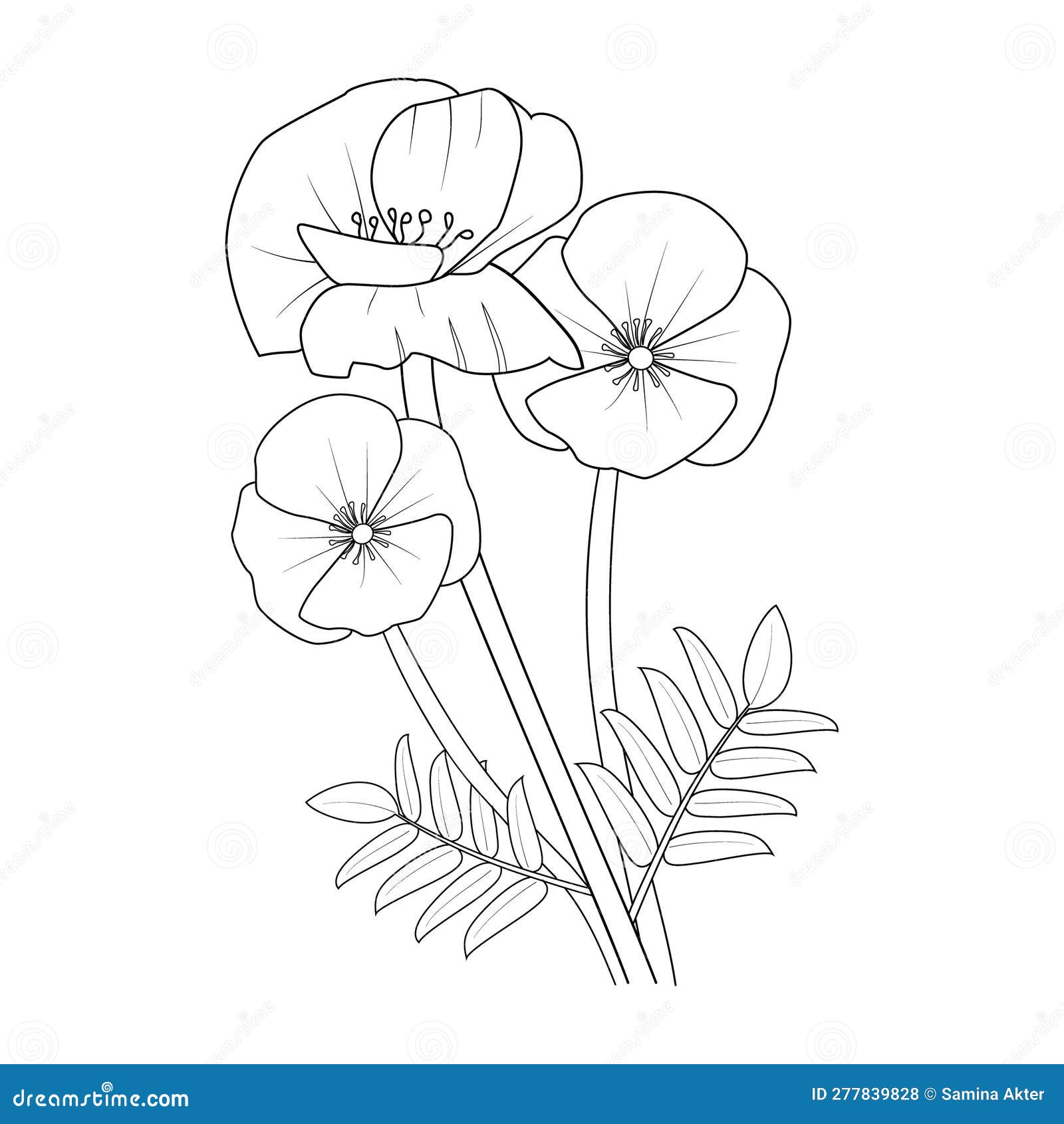 Vintage Poppy Botanical Illustration, Black and White Poppy Botanical ...