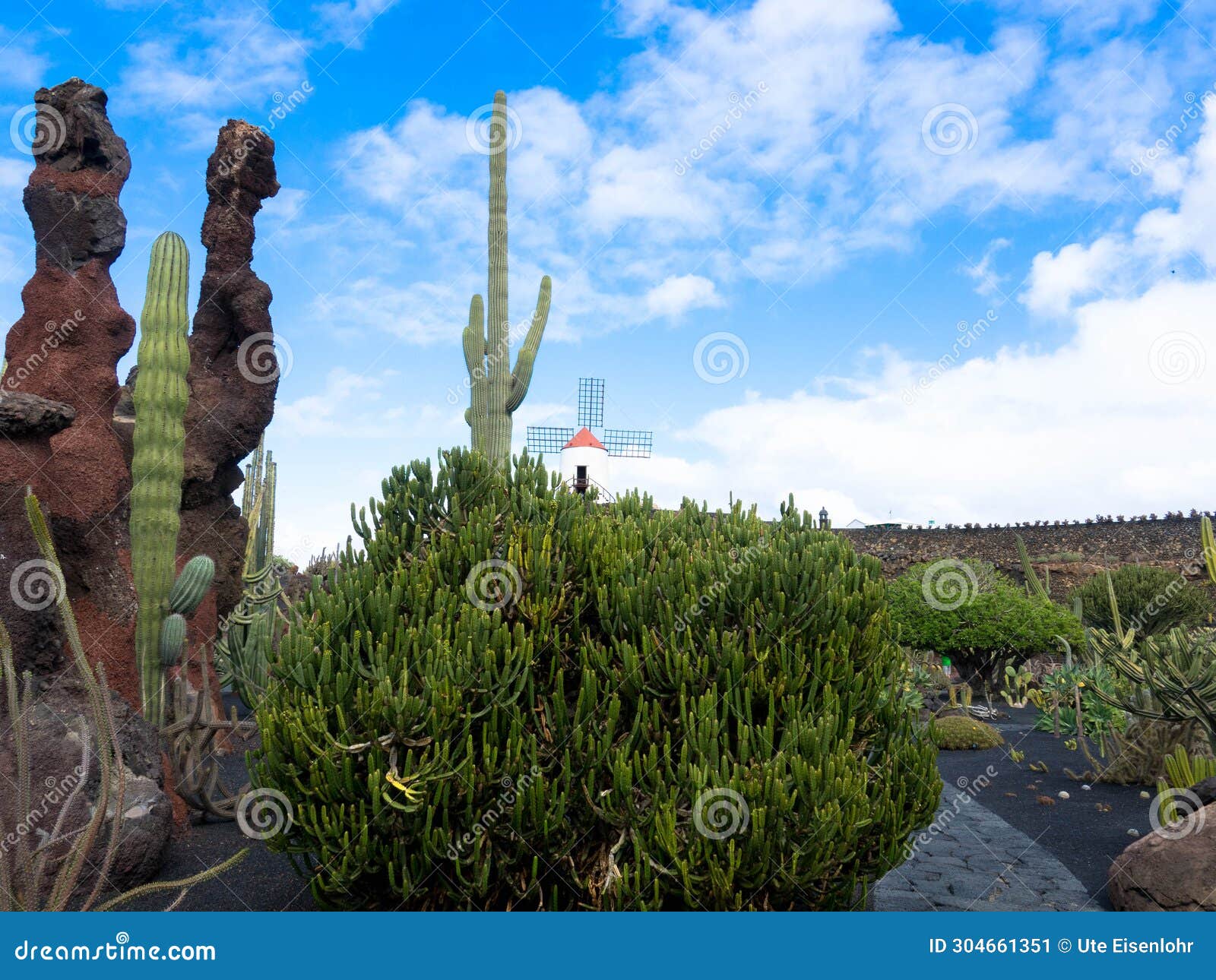 popular jardin de cactus, lanzarote, spain