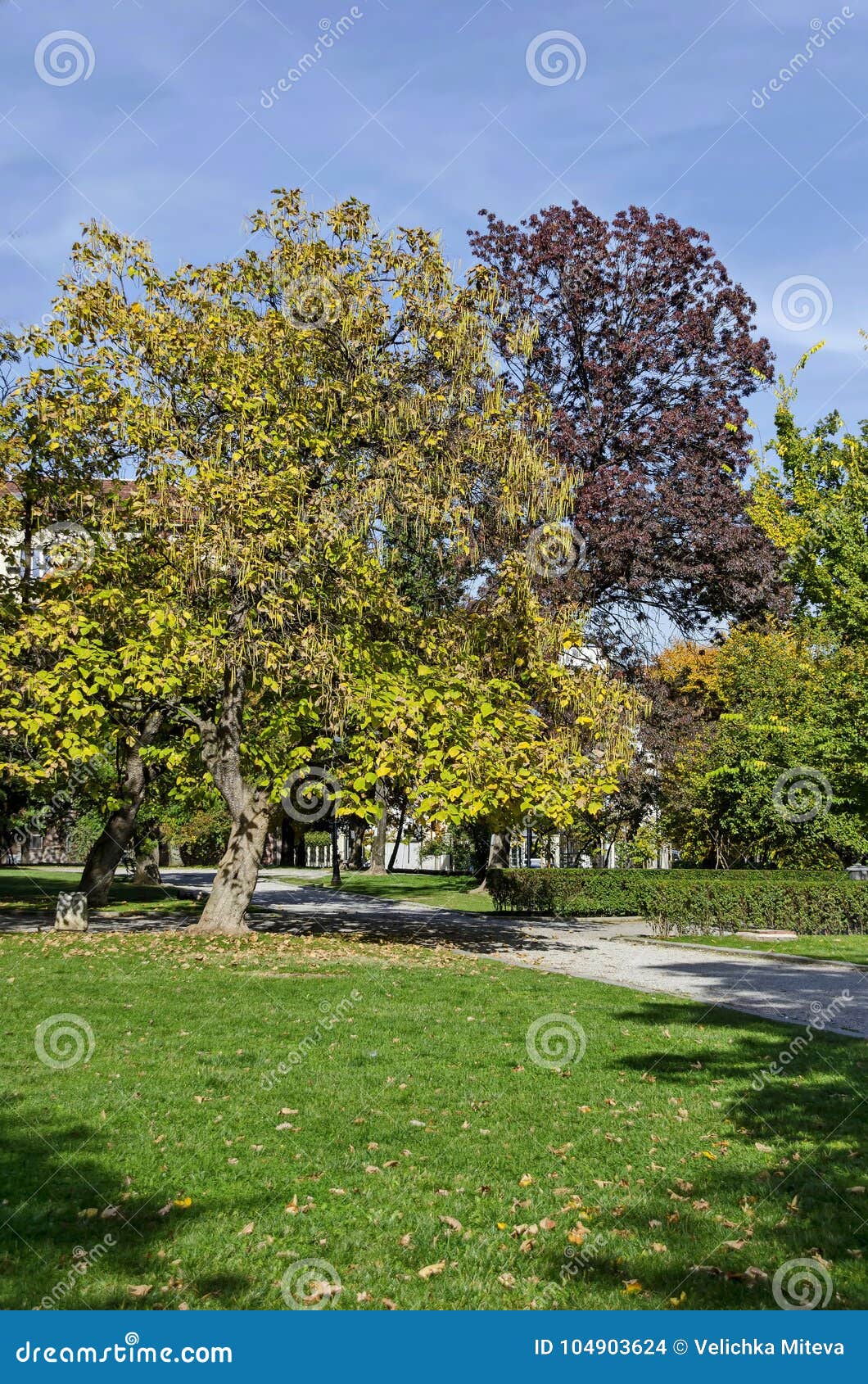 Popular Park for Rest and Walk with Autumnal Yellow and Red Foliage ...