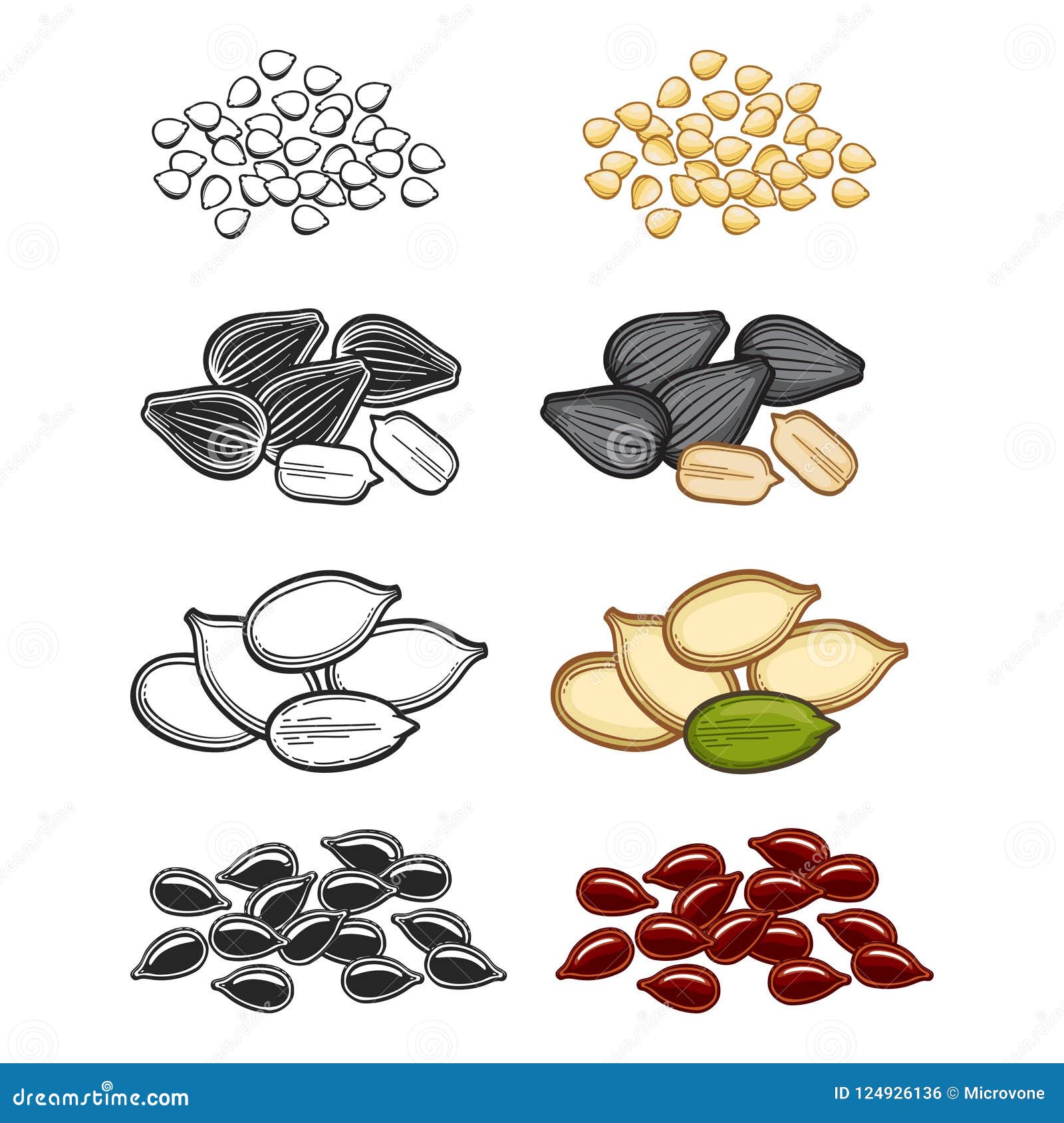 Popular Seeds Sketch Vector Illustration. Line and Cartoon Seeds Stock Vector - Illustration of drawing, herbal: 124926136 Popular Seeds Sketch Vector Illustration. Line and Cartoon Seeds Stock Vector - Illustration of drawing, herbal: 124926136