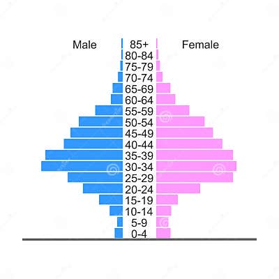 Population Pyramid. Age Structure Diagram Template Stock Vector