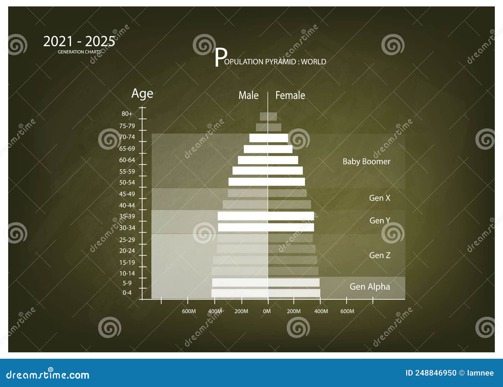 20212025 Population Pyramids Graphs With 5 Generation Vector