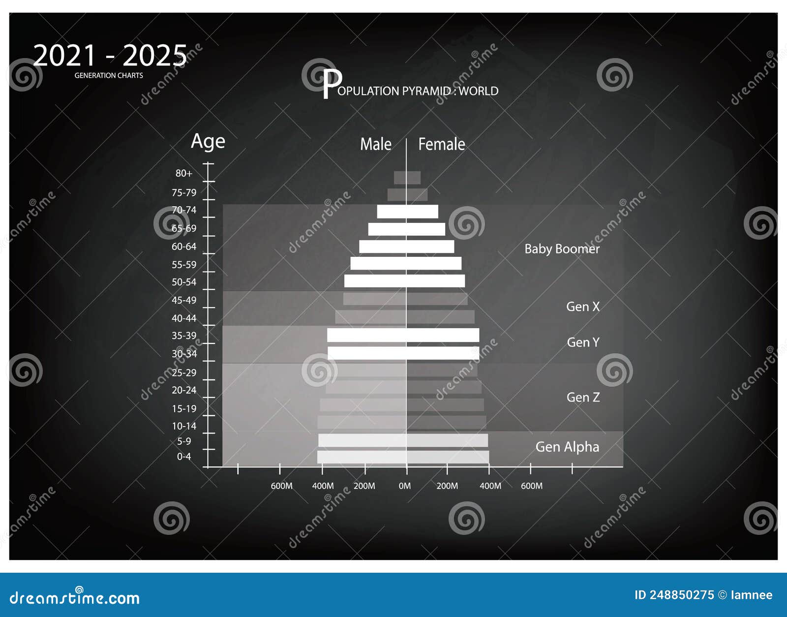 20212025 Population Pyramids Graphs with 5 Generation Stock Vector