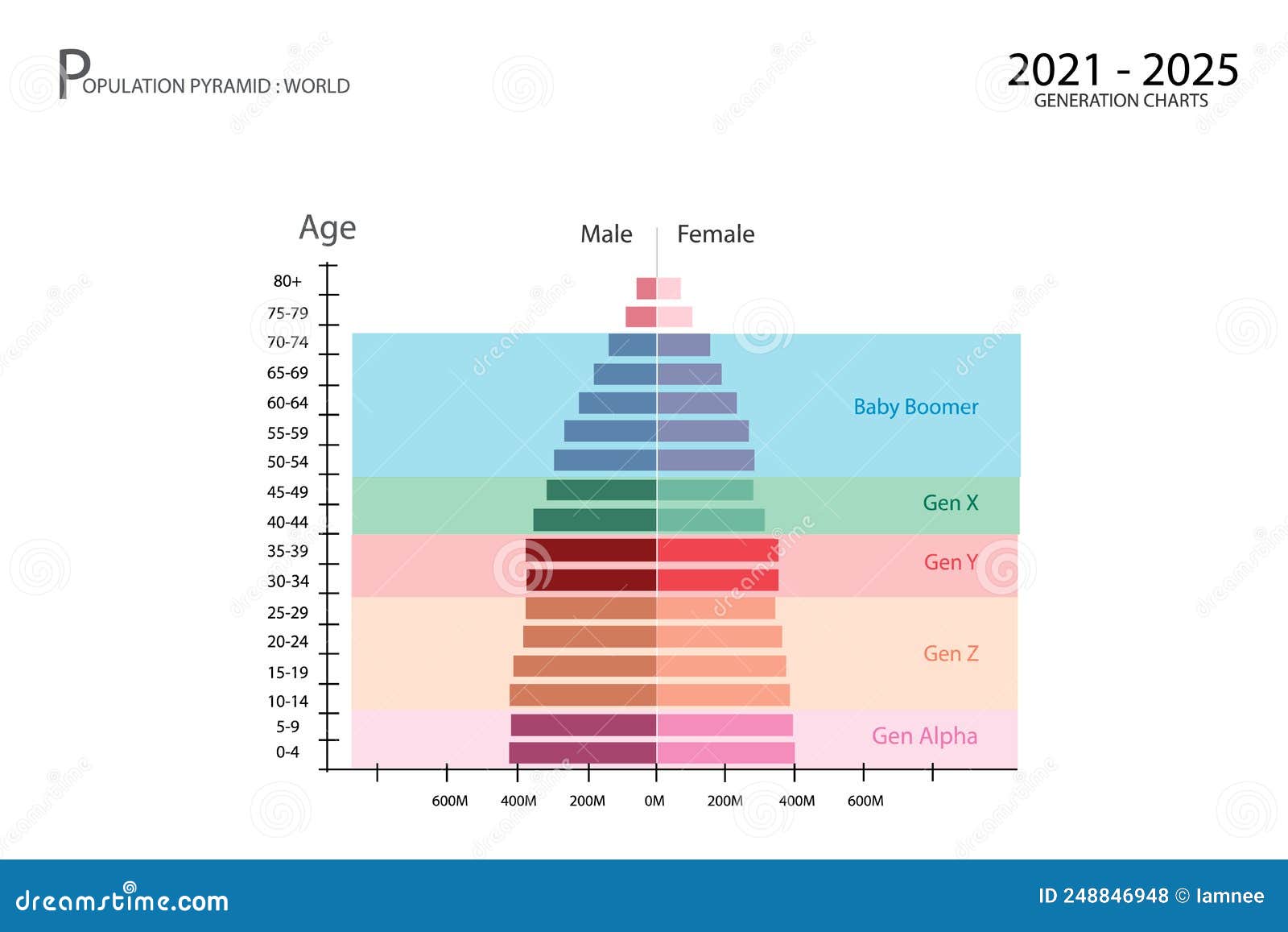 20212025 Population Pyramids Graphs with 5 Generation Stock Vector