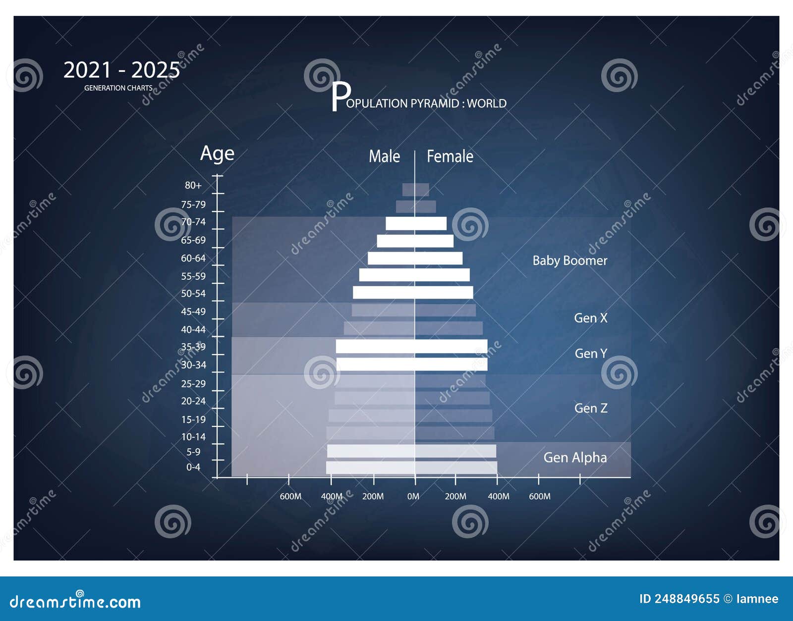 20212025 Population Pyramids Graphs with 5 Generation Stock Vector