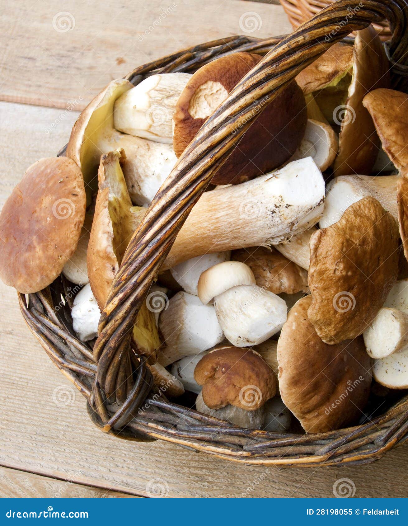Porcini stock image. Image of delicacy, wicker, edible 28198055
