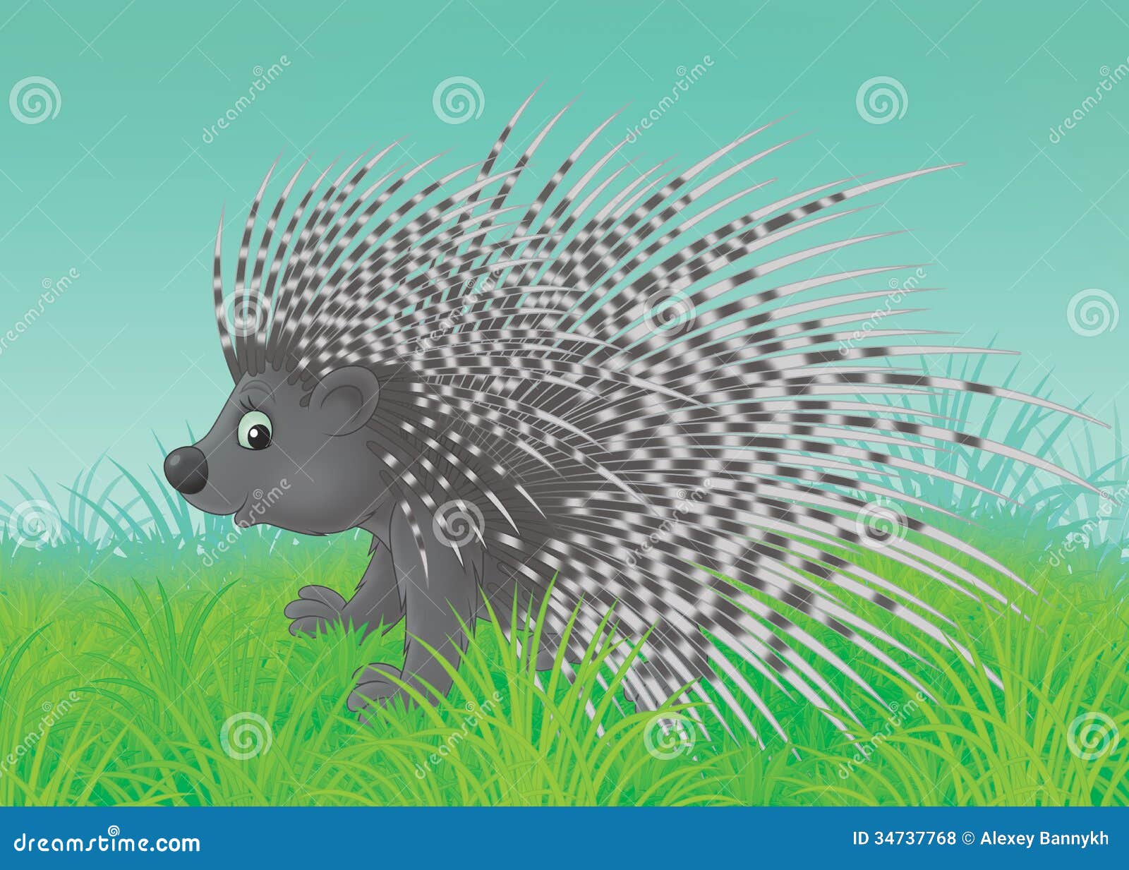 porcupine