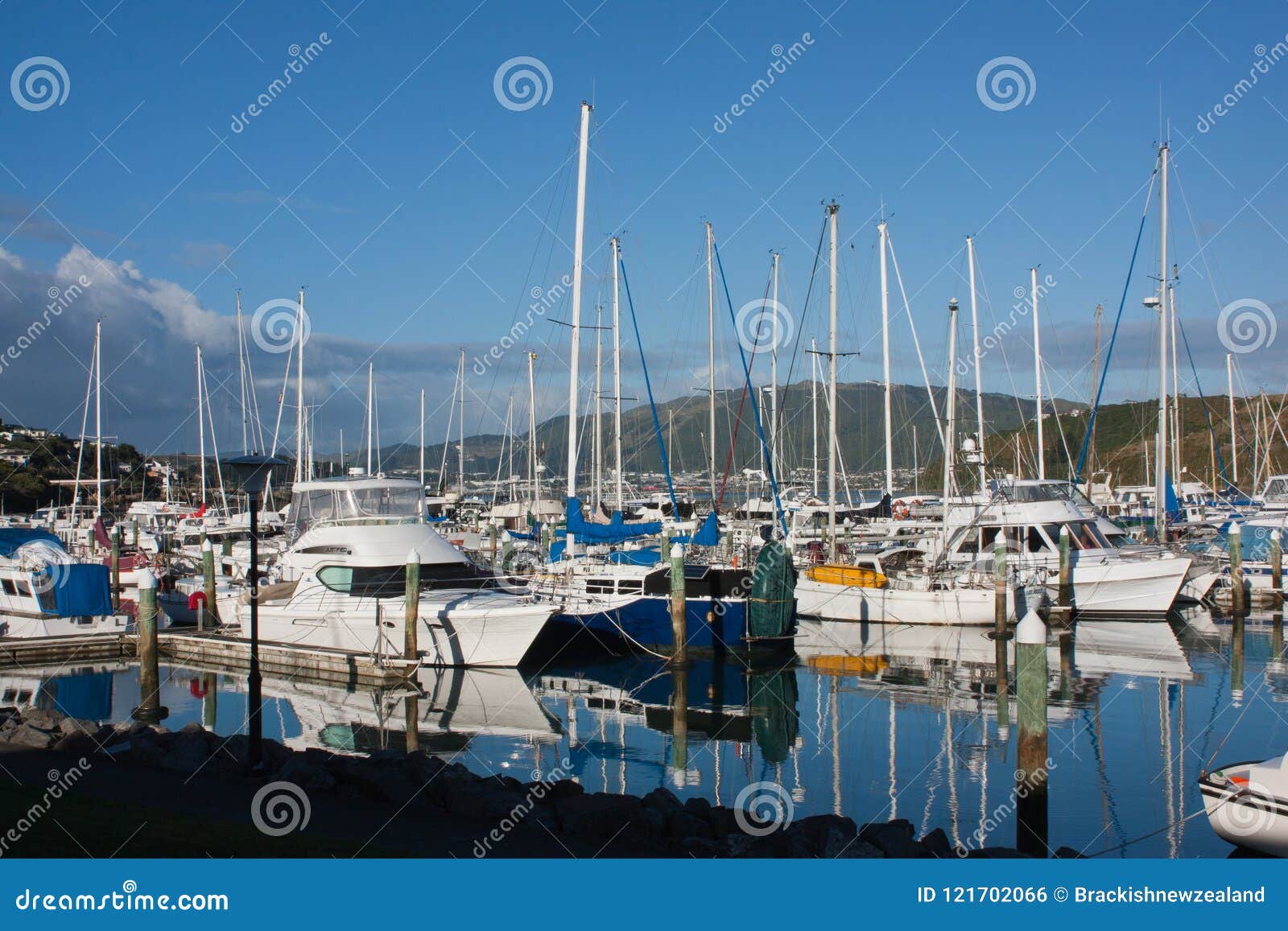 Mana Marina, Porirua editorial photo. Image of coast - 121702066